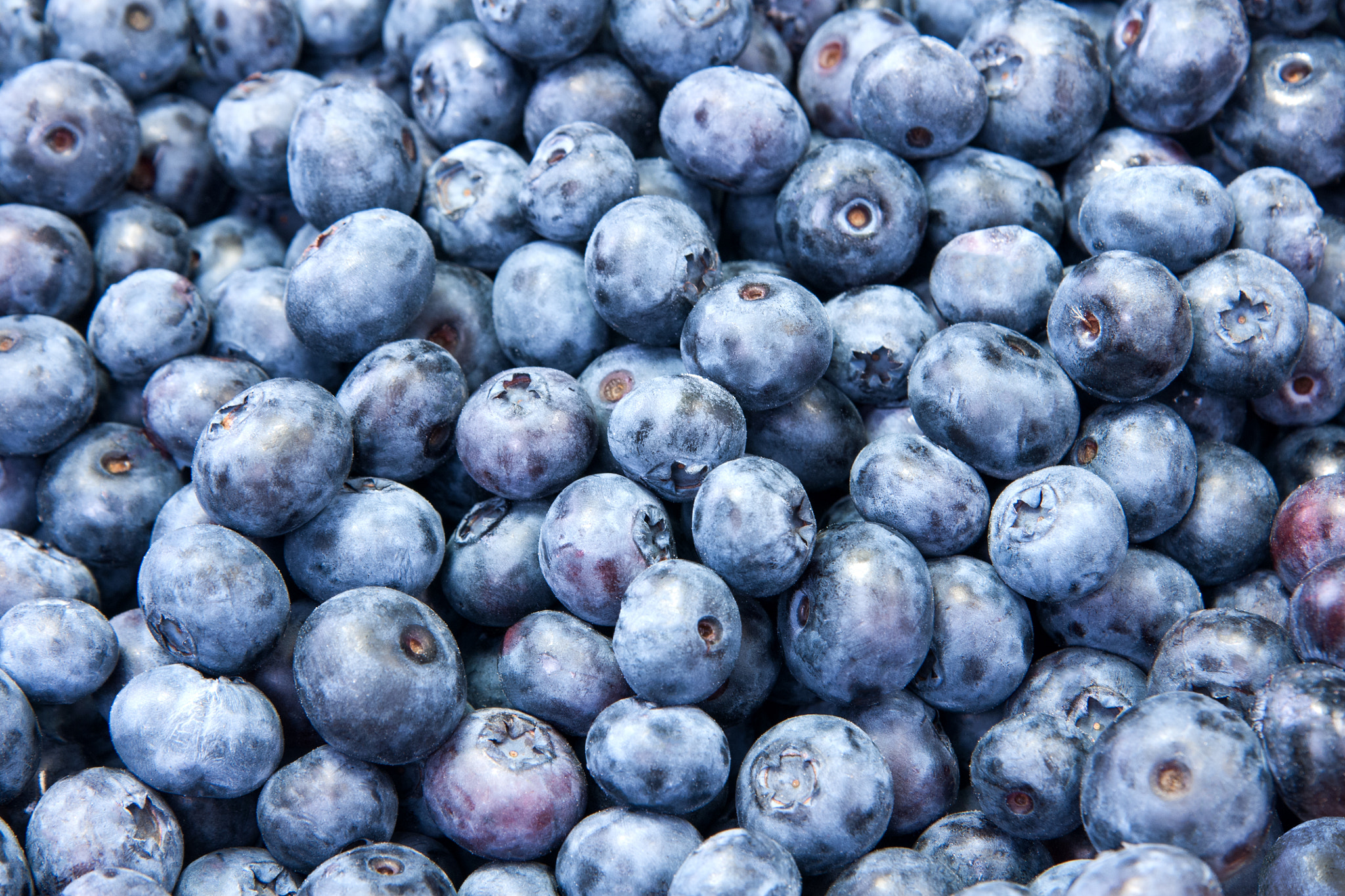 Sony Alpha DSLR-A700 sample photo. Blueberries background photography
