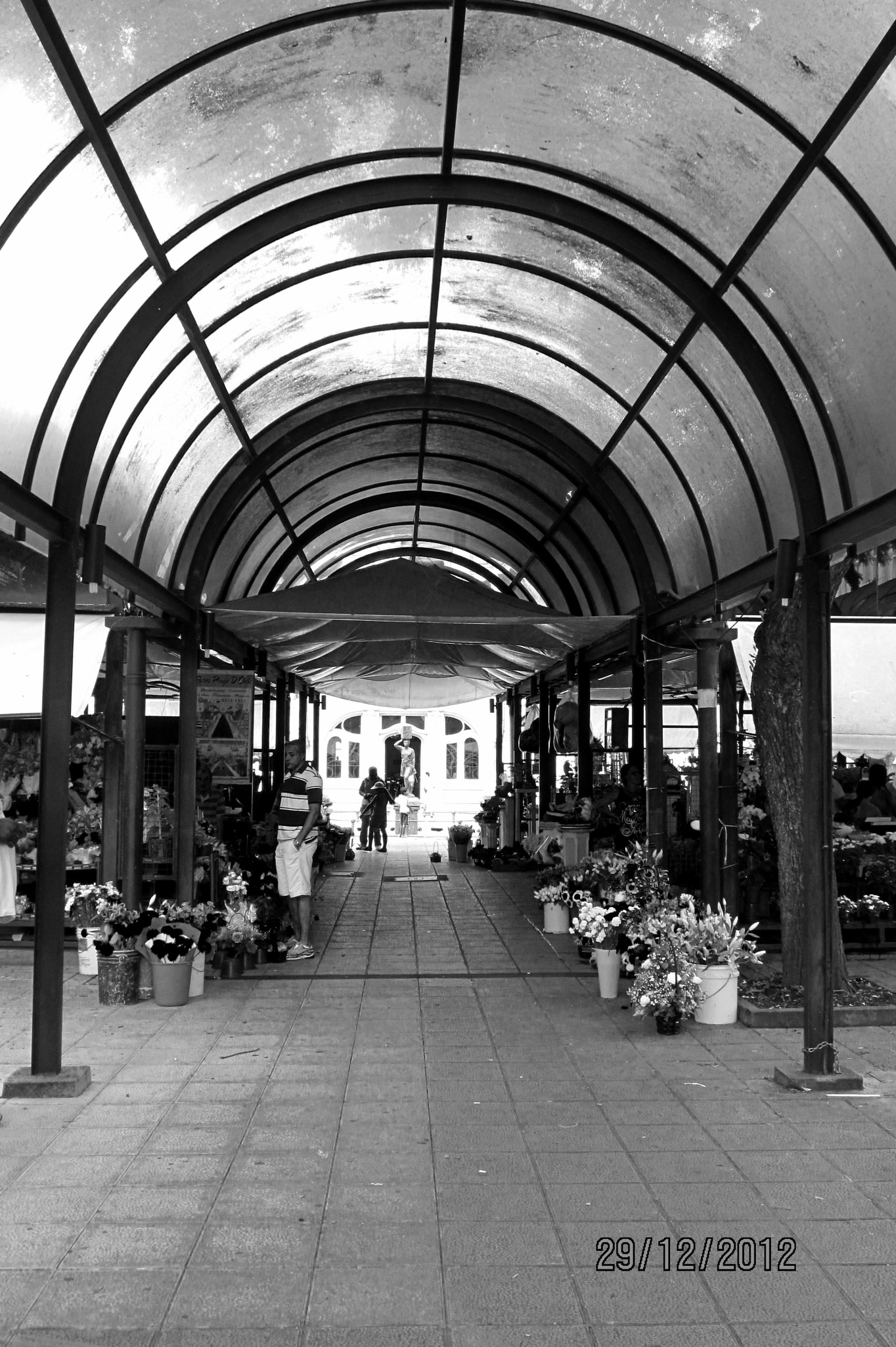 Canon PowerShot ELPH 300 HS (IXUS 220 HS / IXY 410F) sample photo. Curitiba photography