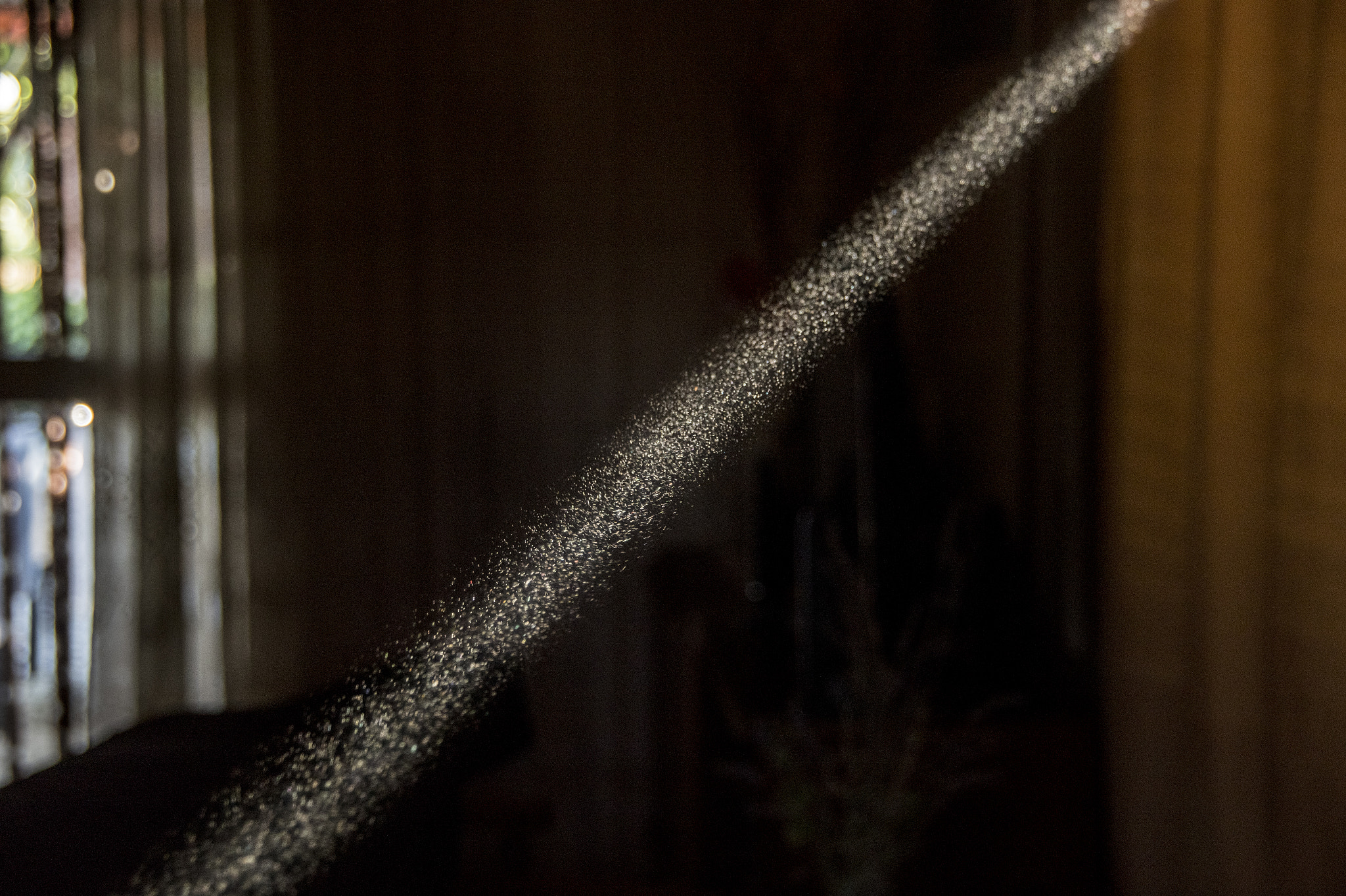 Pentax K-S2 sample photo. Dust photography
