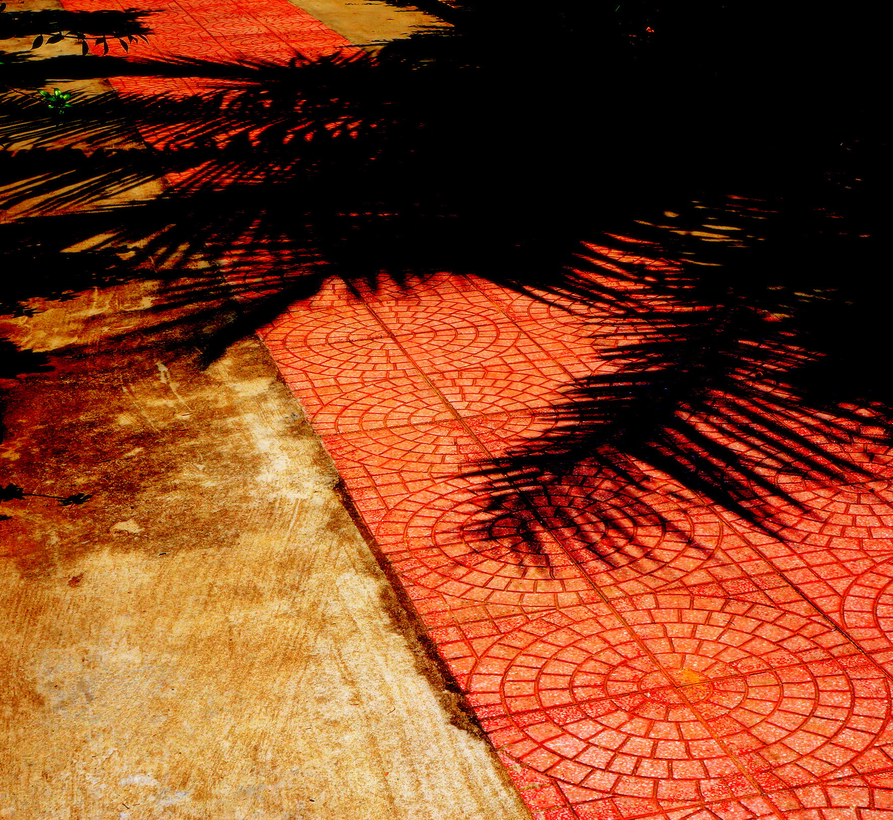 Sony E 18-55mm F3.5-5.6 OSS sample photo. Shadow on the path photography