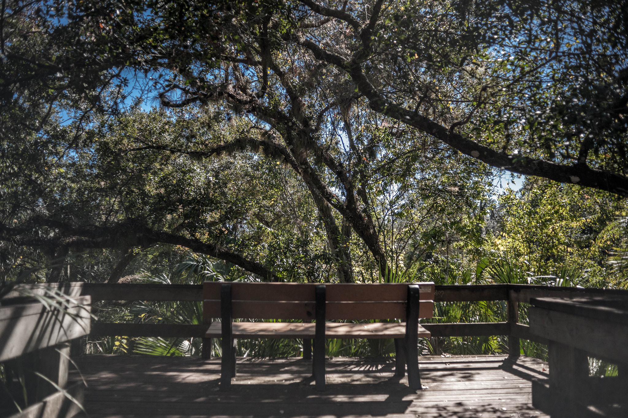 Nikon D700 + AF Nikkor 28mm f/2.8 sample photo. Turkey creek photography