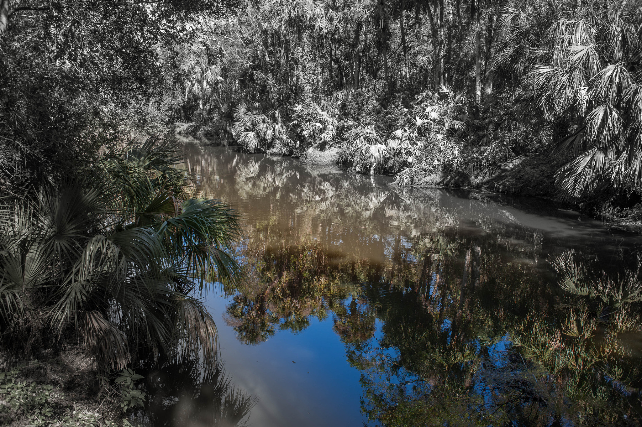 Nikon D700 + AF Nikkor 28mm f/2.8 sample photo. Turkey creek photography