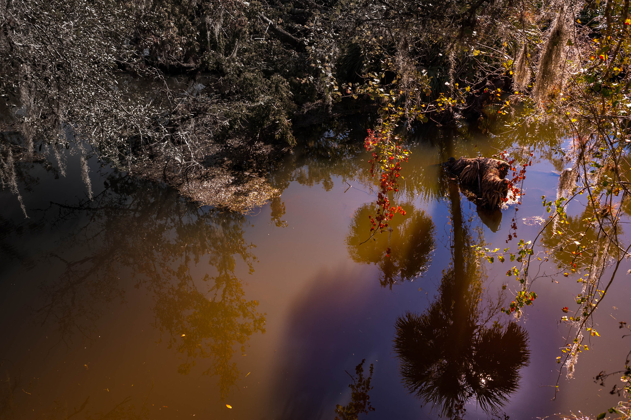 Nikon D700 + AF Nikkor 28mm f/2.8 sample photo. Turkey creek photography