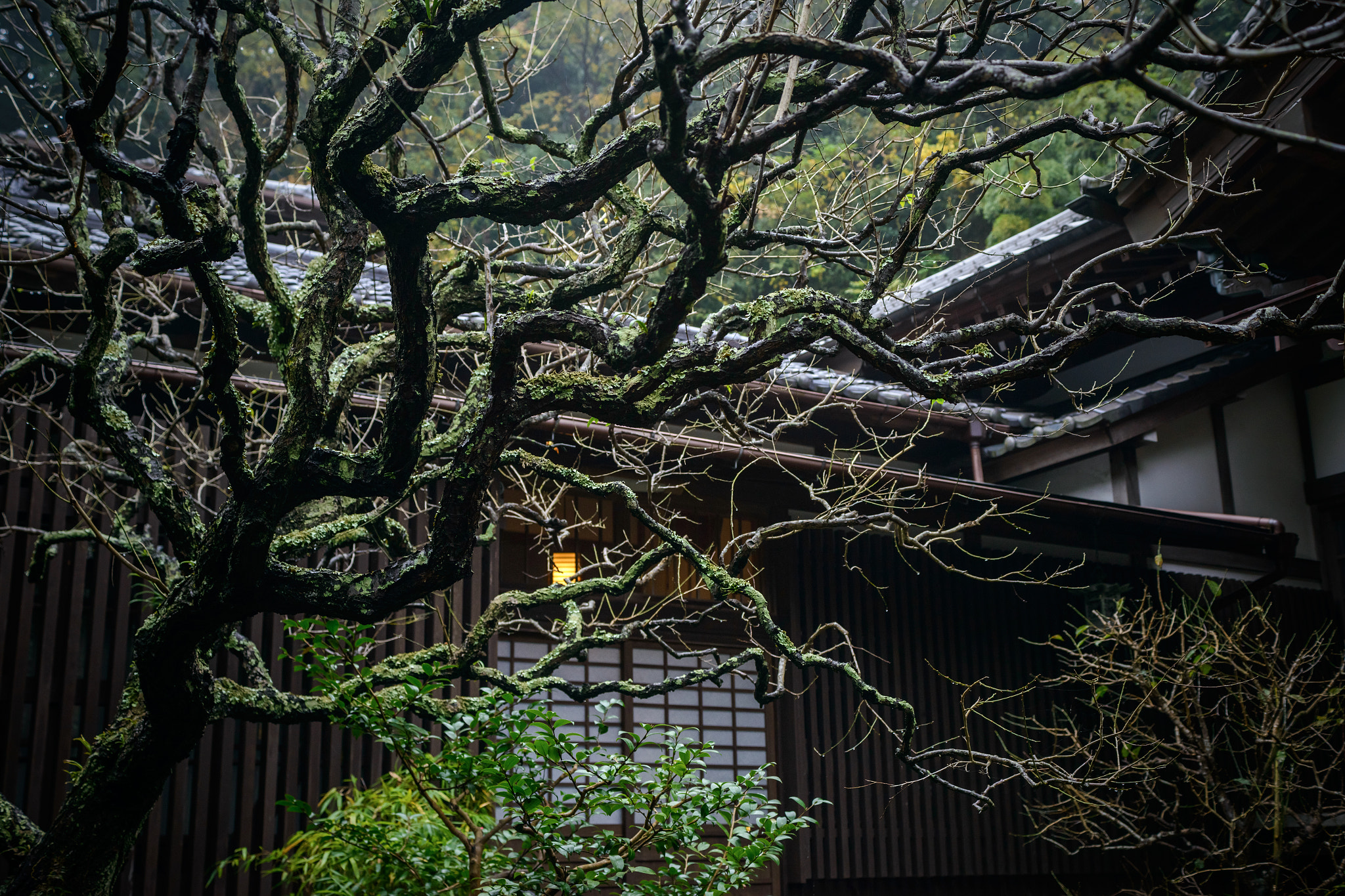 Sigma 24-70mm F2.8 EX DG Macro sample photo. Japanese-style courtyard photography