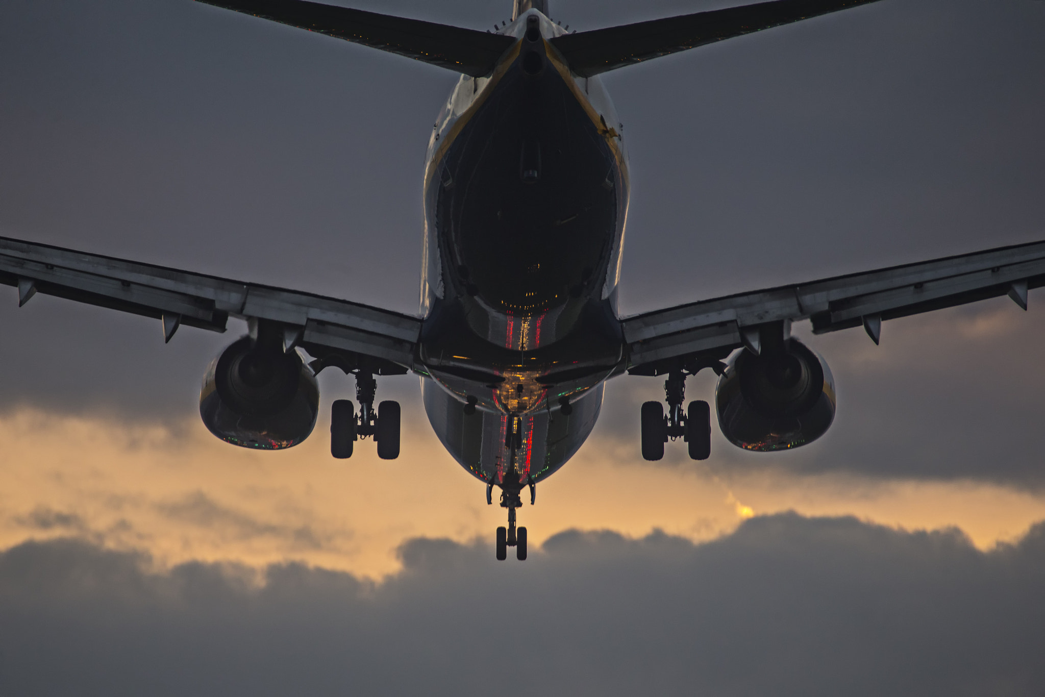 Canon EOS-1D X + Canon EF 50mm f/1.8 sample photo. Sunset landing photography