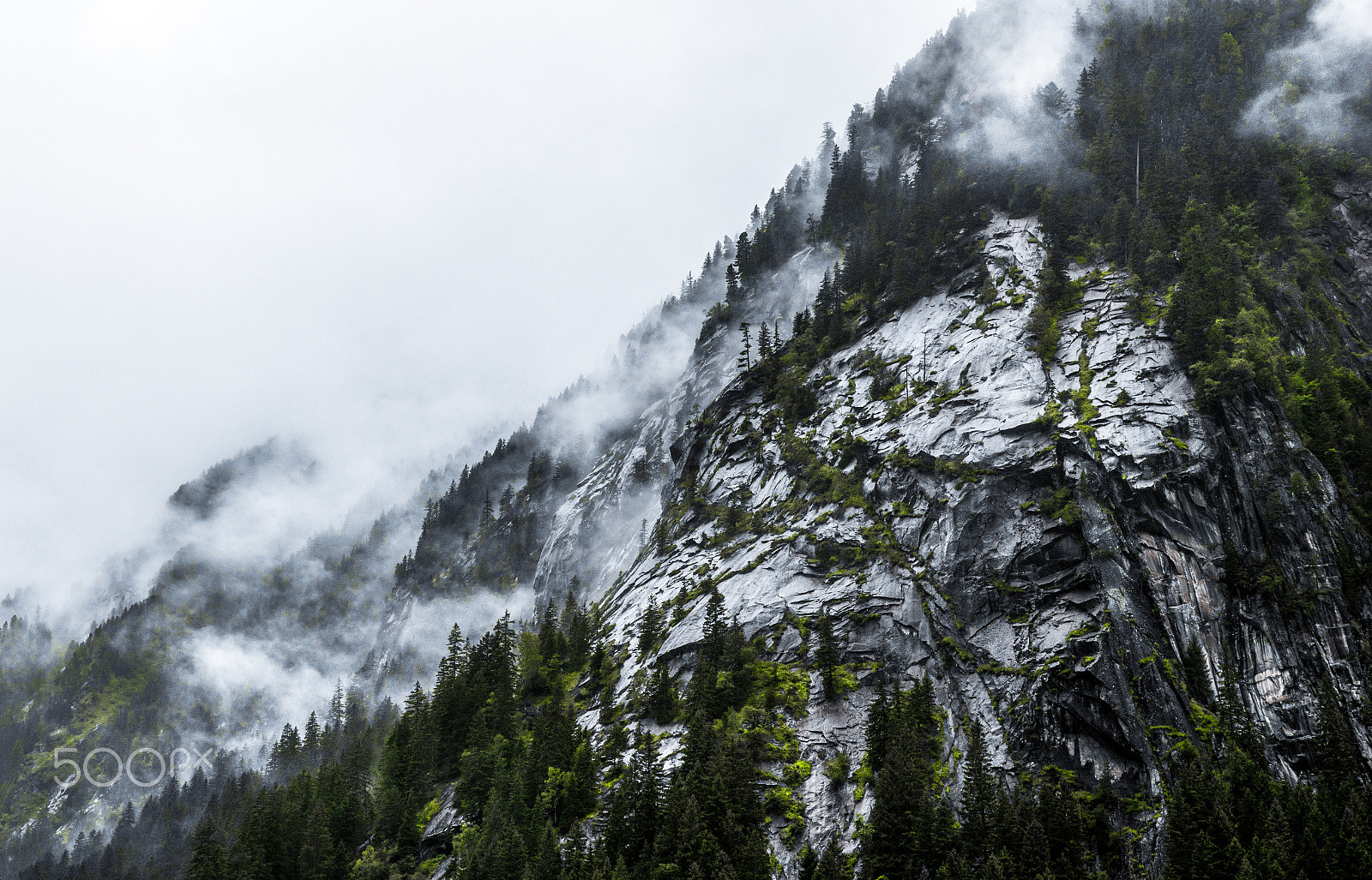 Pentax K-5 II sample photo. Bad weather photography