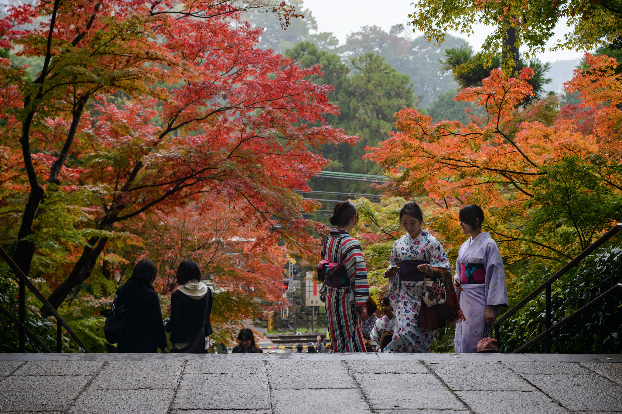 Sigma 24-70mm F2.8 EX DG Macro sample photo. Autumn japanese girl photography
