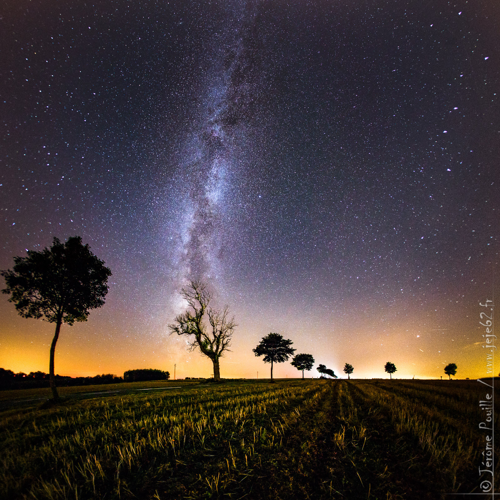 Canon EF 15mm F2.8 Fisheye sample photo. The tree who become a star (nightscape) photography