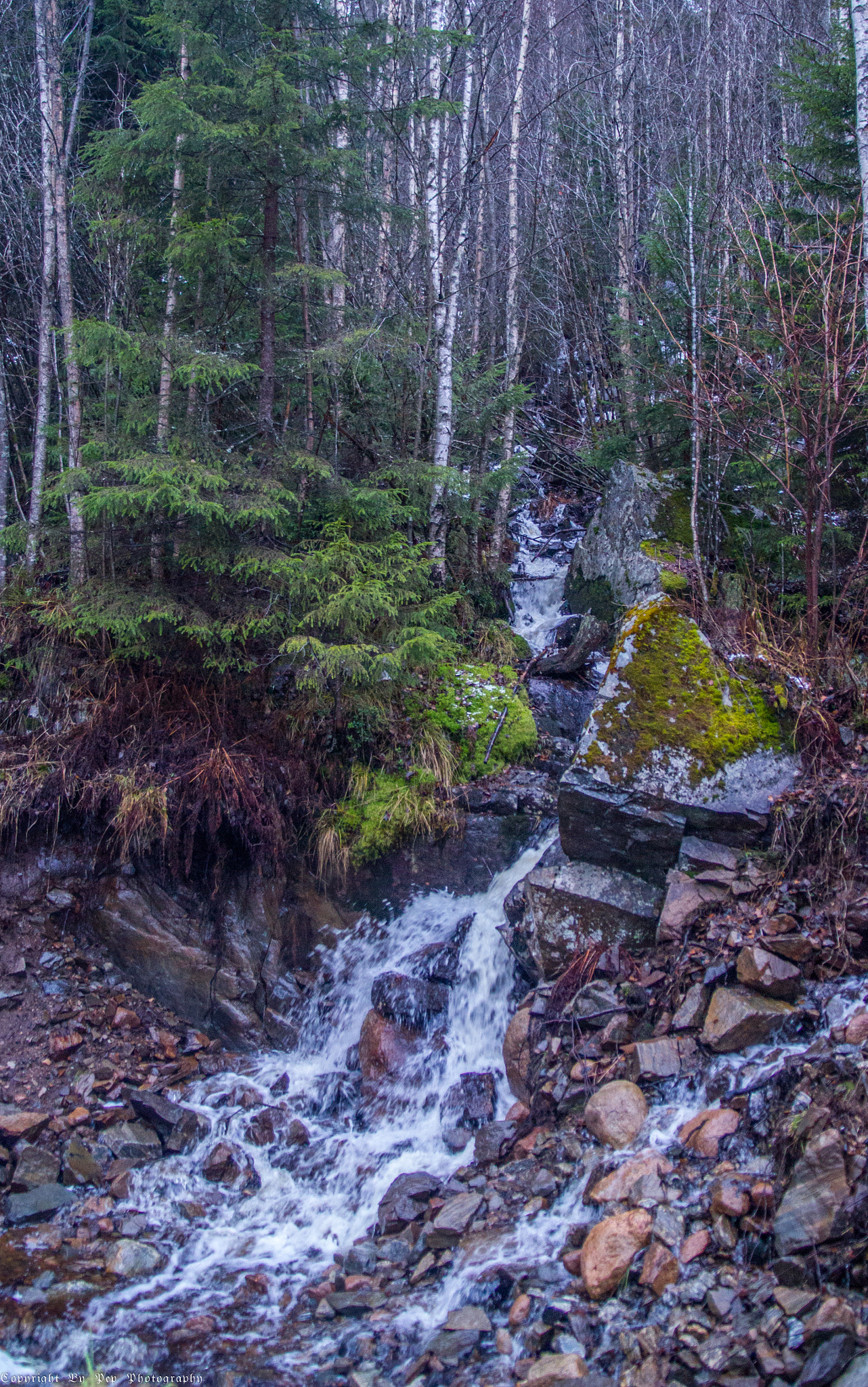 Canon EOS 550D (EOS Rebel T2i / EOS Kiss X4) sample photo. Waterfall in the woods of norway  photography