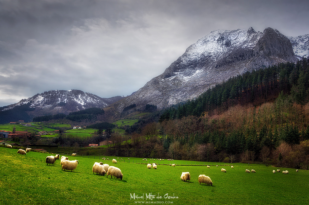 Sony E 18-200mm F3.5-6.3 OSS LE sample photo. Postcard from basque country ii photography