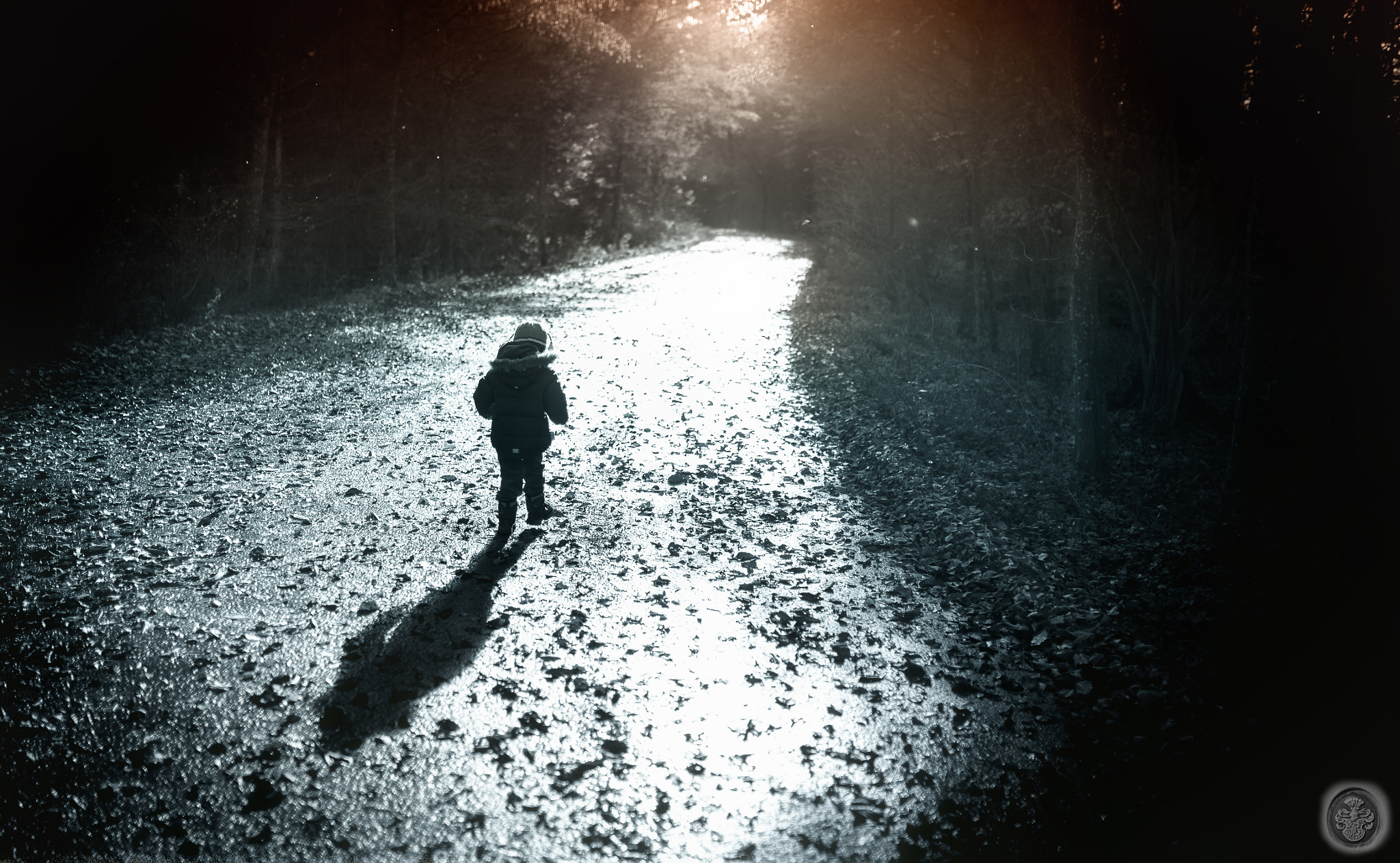 Nikon Df + Sigma 35mm F1.4 DG HSM Art sample photo. ...walk alone... photography