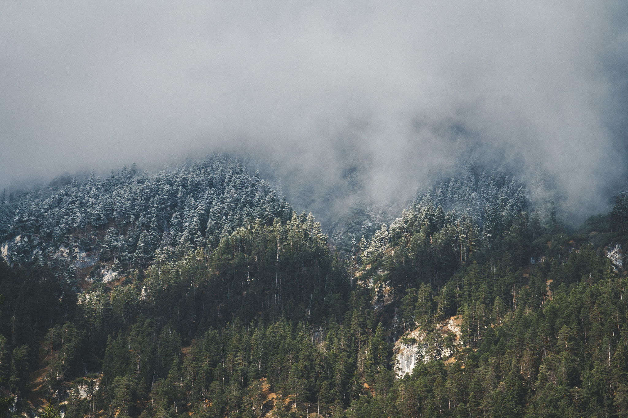 Canon EOS 1000D (EOS Digital Rebel XS / EOS Kiss F) sample photo. Foggy mountains. photography