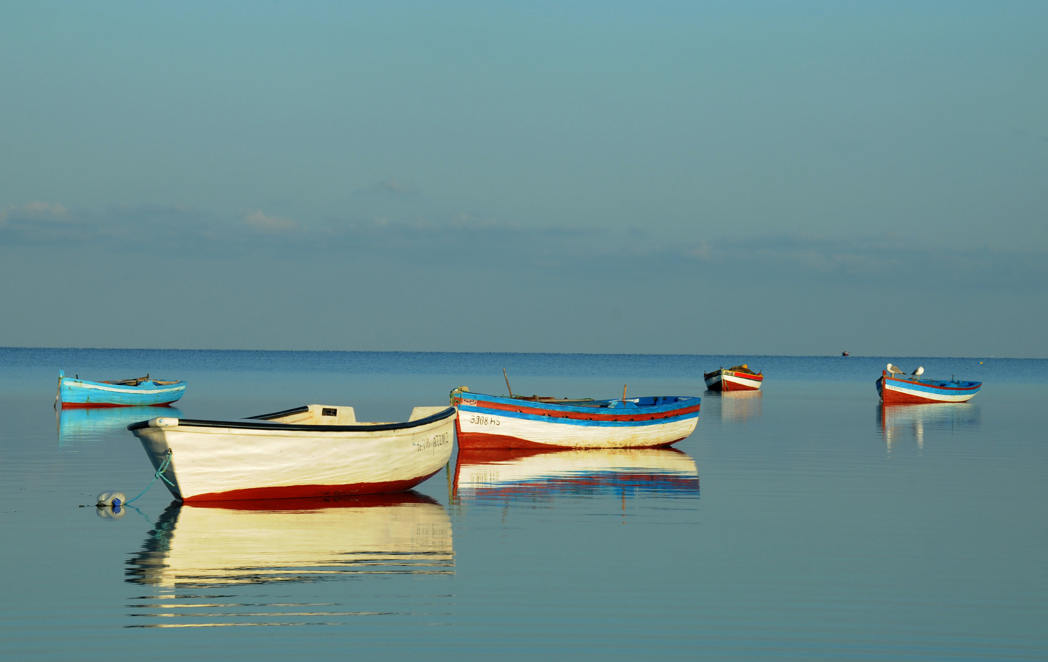 Nikon D300S sample photo. Reflet photography