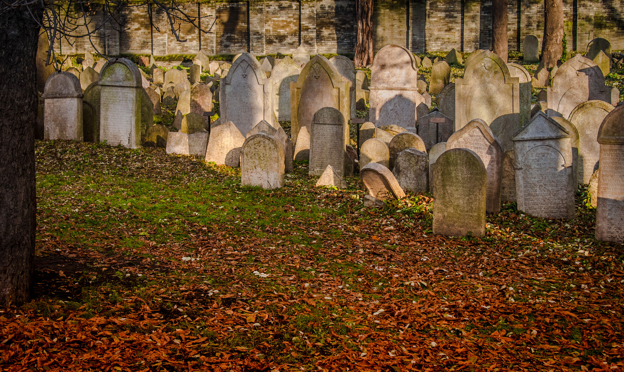 Olympus PEN E-PL6 sample photo. Jewish cemetery photography