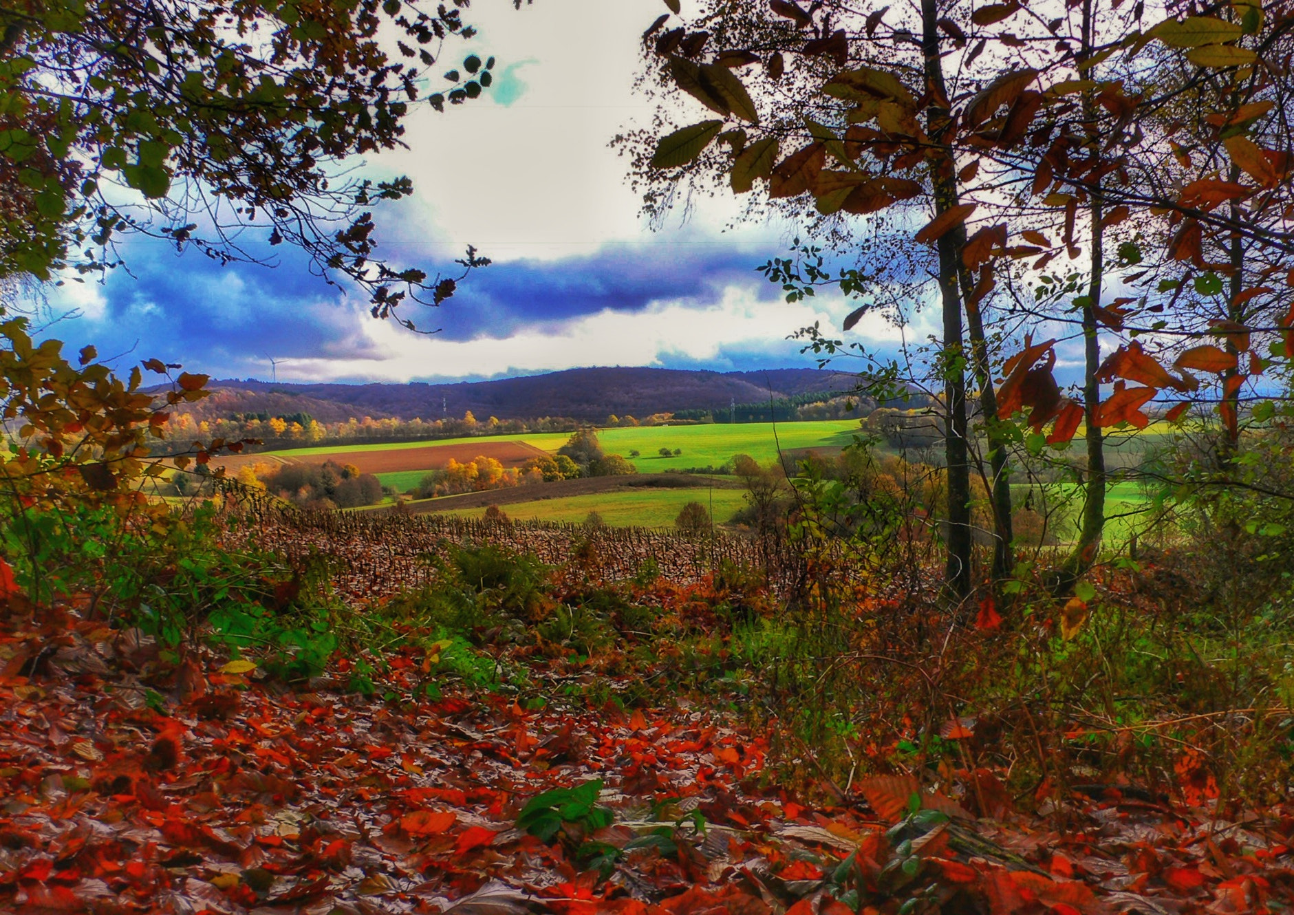 Panasonic DMC-LX1 sample photo. Herbstlandschaft photography