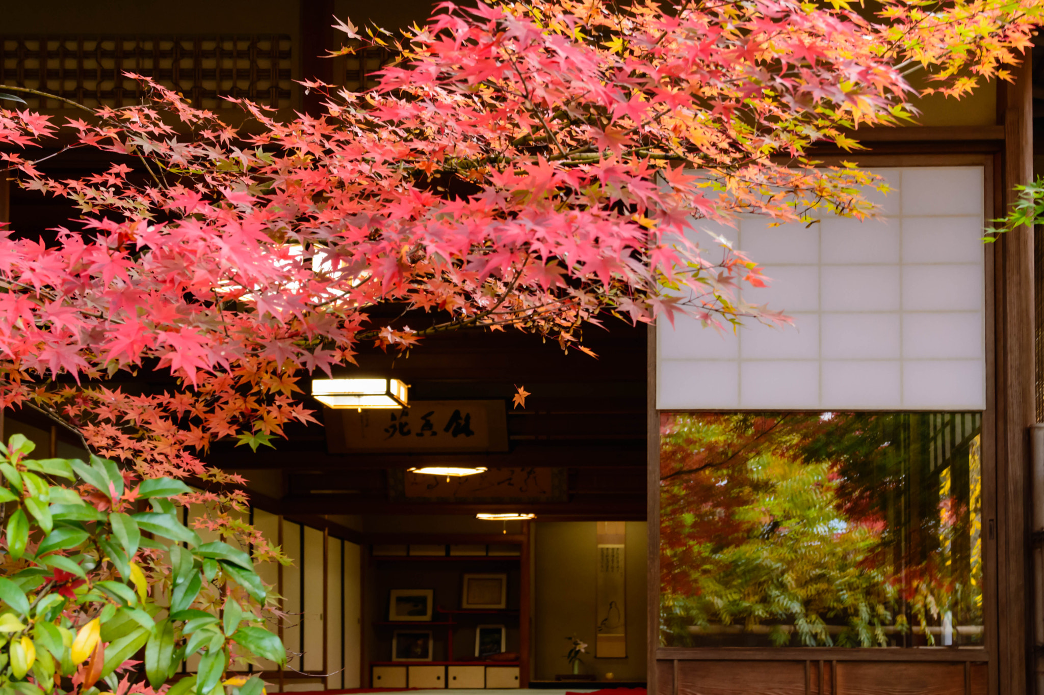 Sigma 18-200mm F3.5-6.3 II DC OS HSM sample photo. 秋景色 photography