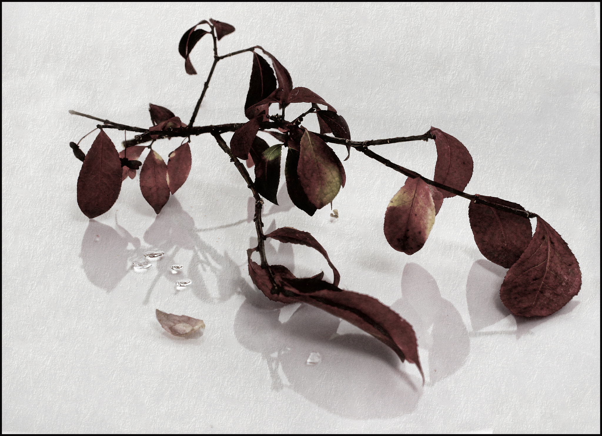 Canon EF 28-80mm f/3.5-5.6 sample photo. Sprig... photography