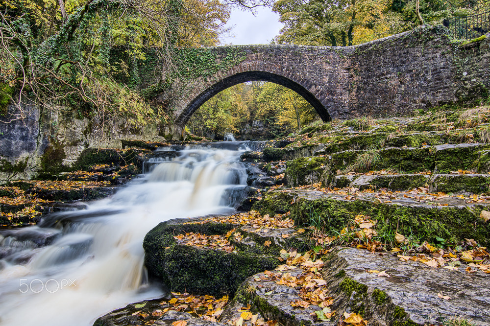 Tokina AT-X Pro 11-16mm F2.8 DX sample photo. The bridge photography