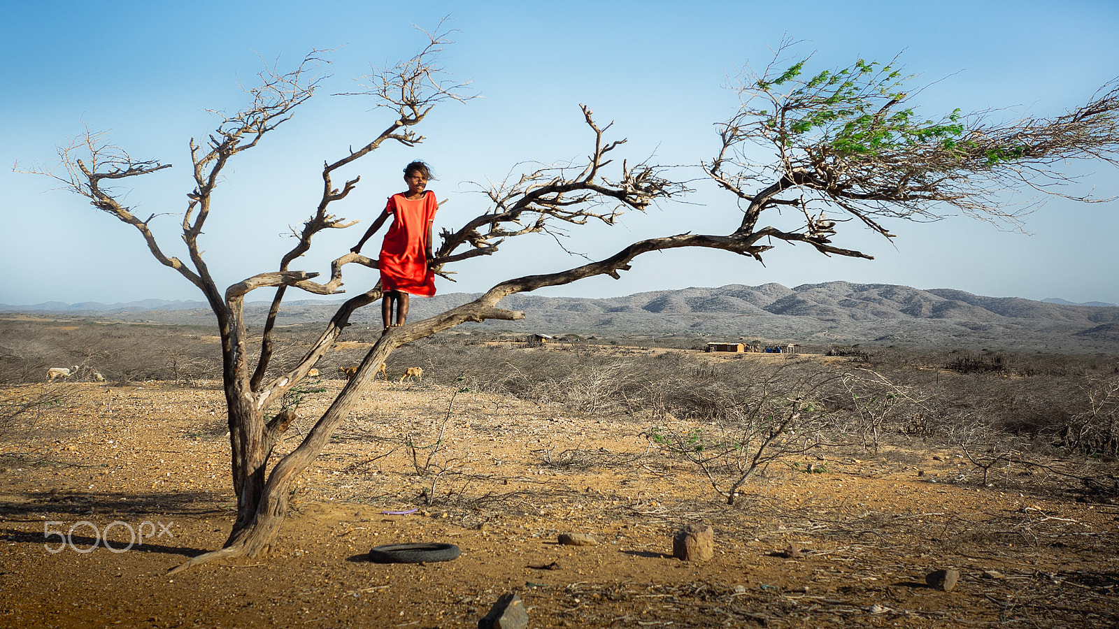 Panasonic Lumix DMC-GH4 + Panasonic Leica DG Summilux 25mm F1.4 II ASPH sample photo. Desert of colombia photography