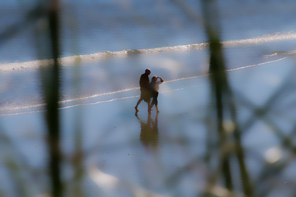 Canon EF-S 55-250mm F4-5.6 IS sample photo. Golden days photography
