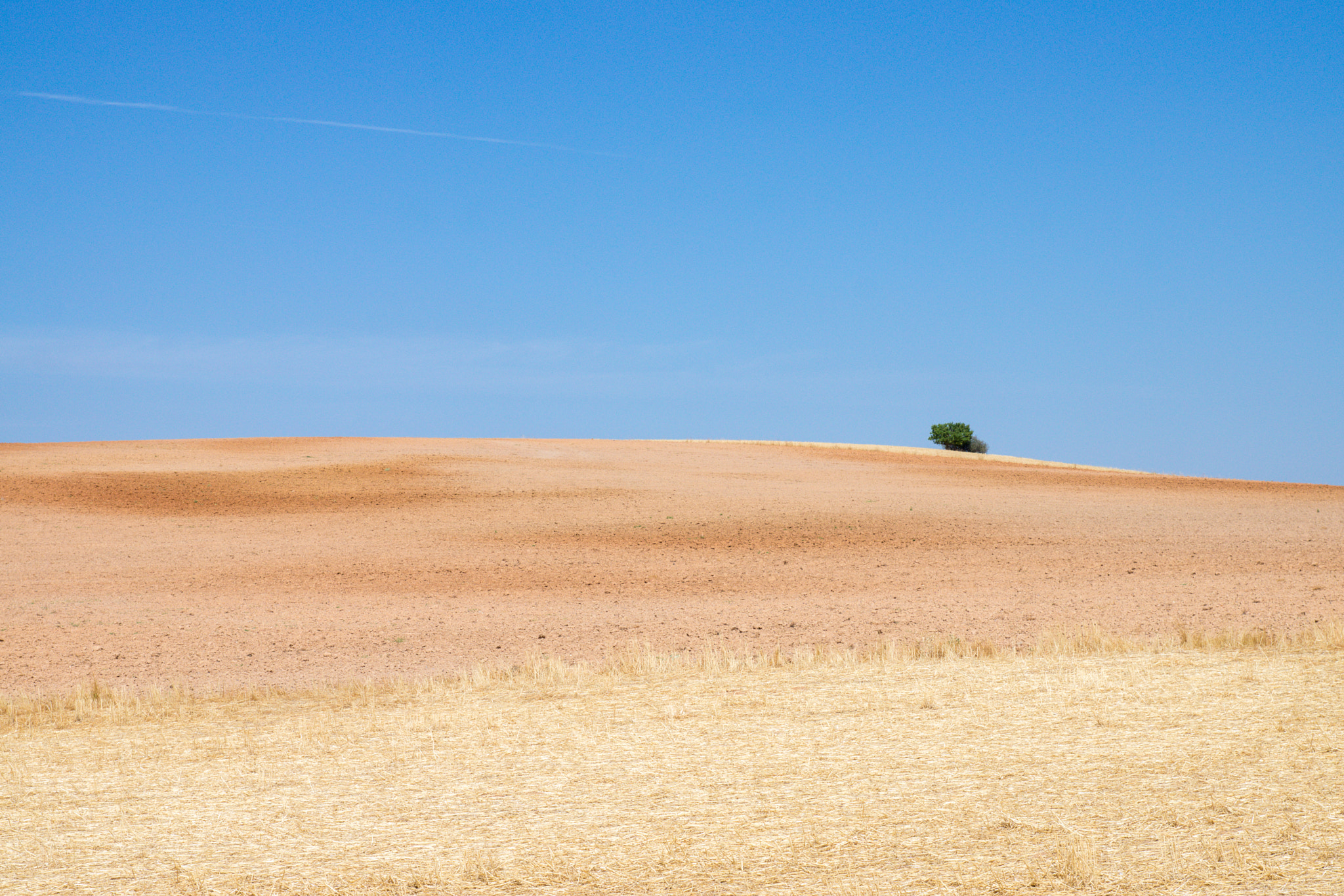 Sony SLT-A77 sample photo. Summer photography