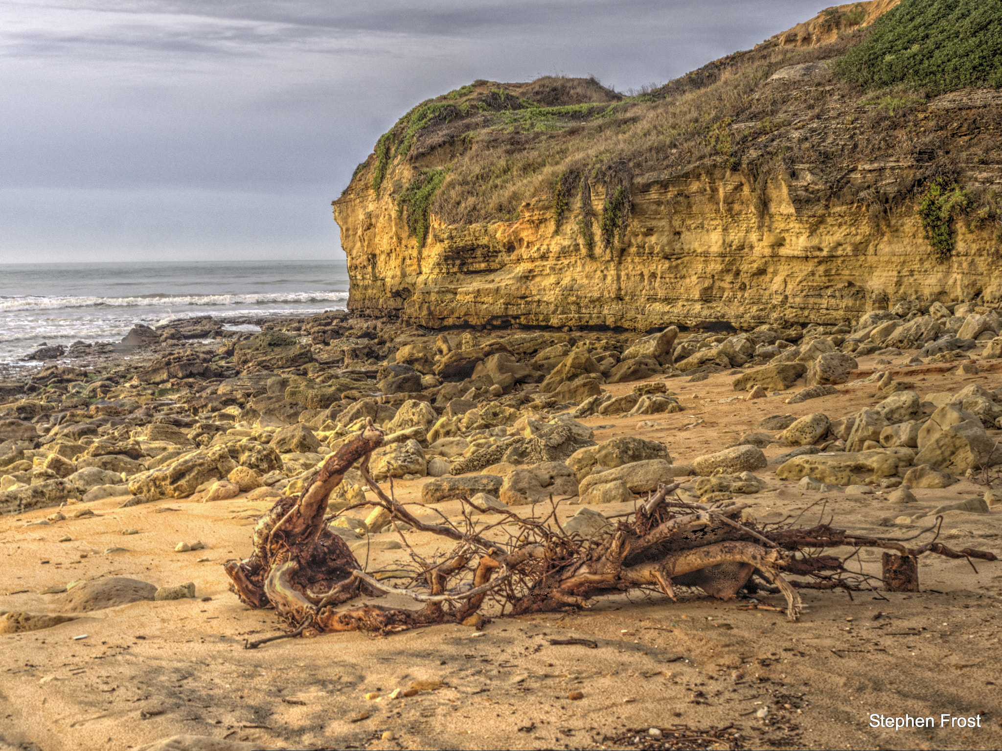 Olympus PEN E-PL5 sample photo. Seascape : drift wood photography