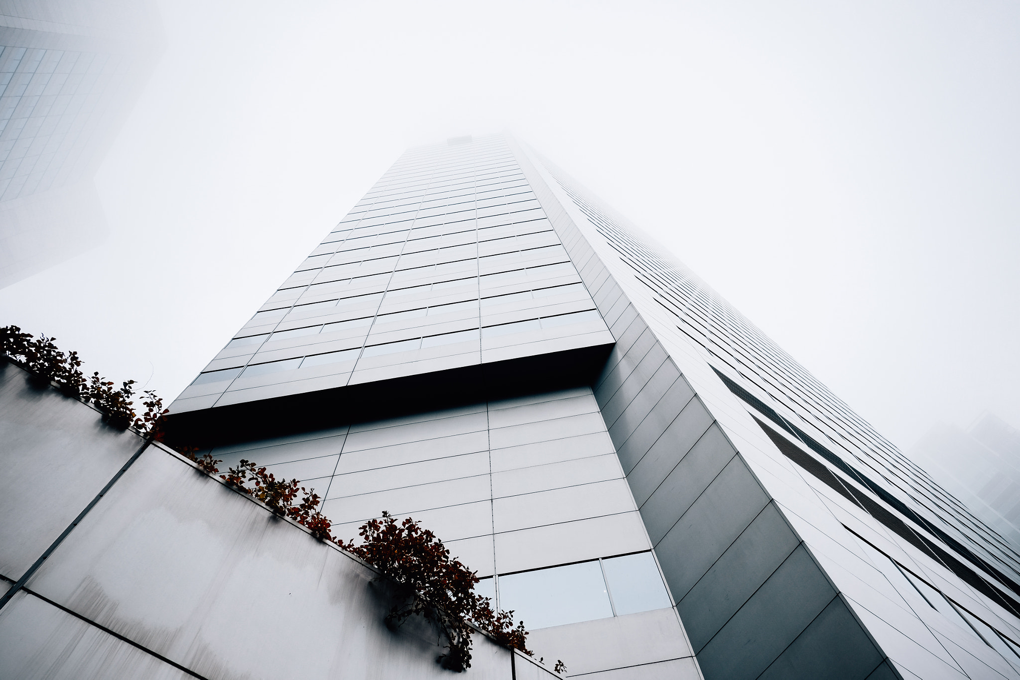 Fujifilm X-E2 + Fujifilm XF 18mm F2 R sample photo. Grayscale photography