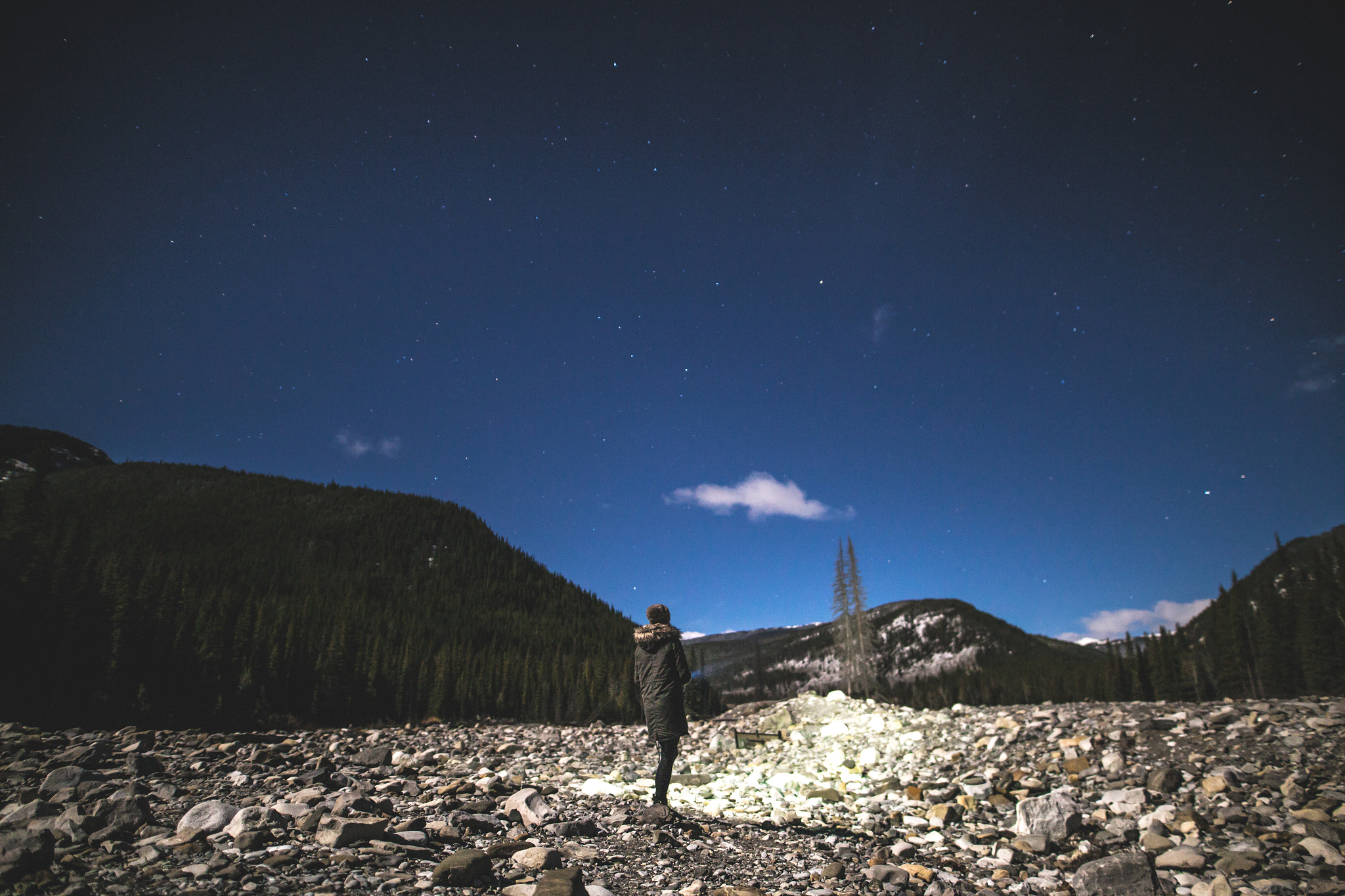 Sigma 20mm F1.4 DG HSM Art sample photo. Moonlit nights. photography