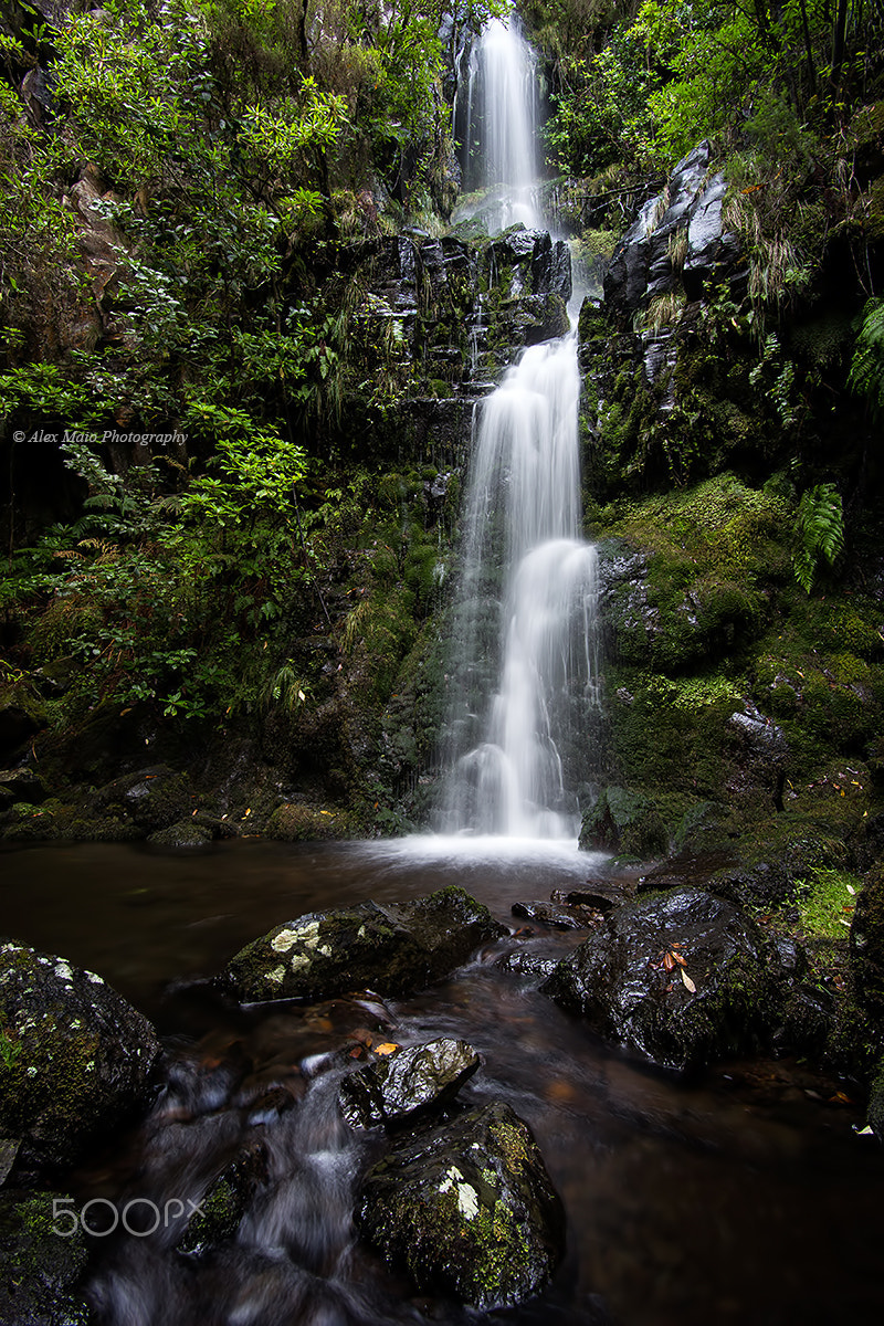 Canon EOS 6D sample photo. Ceders waterfall photography