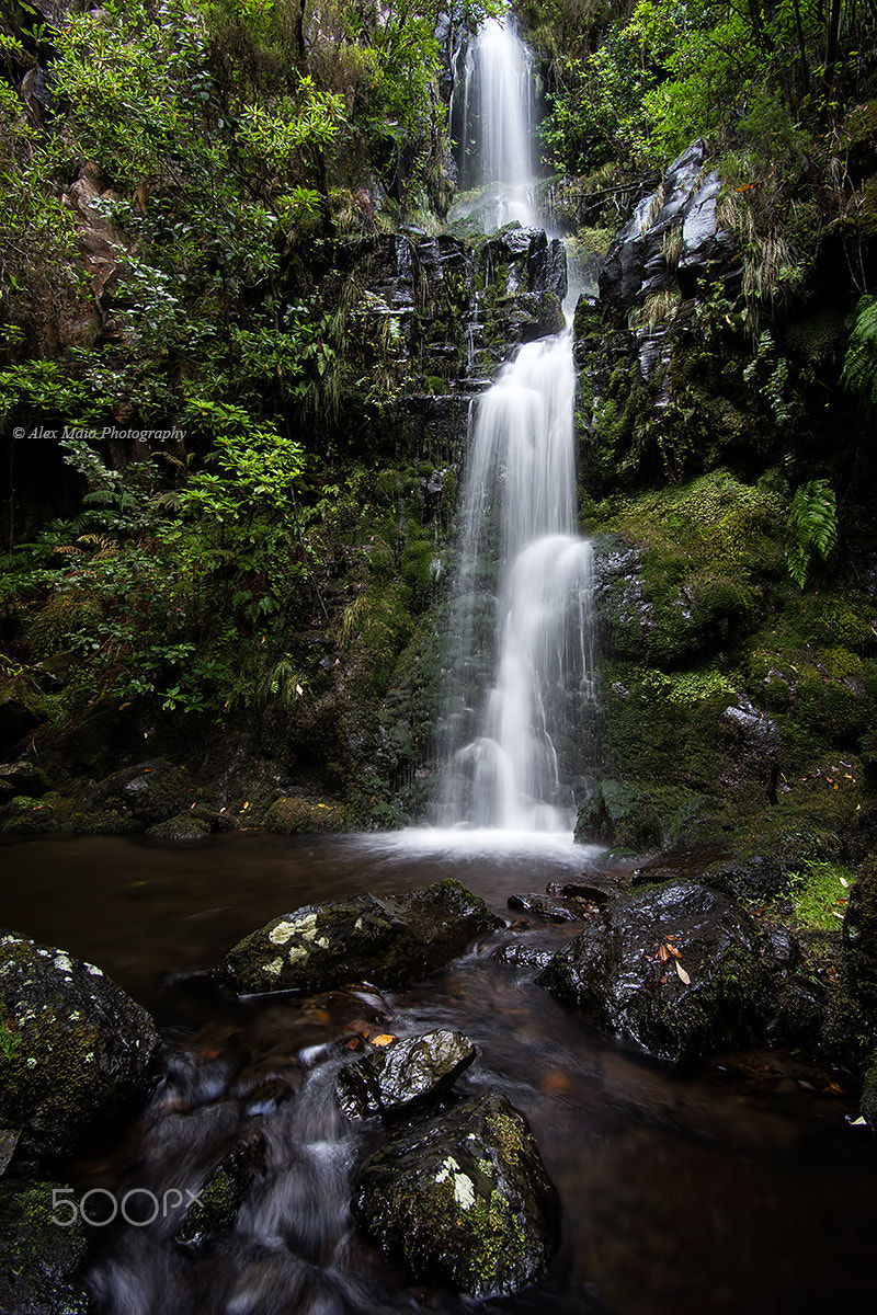 Canon EF-S 17-85mm F4-5.6 IS USM sample photo. Ceders waterfall photography
