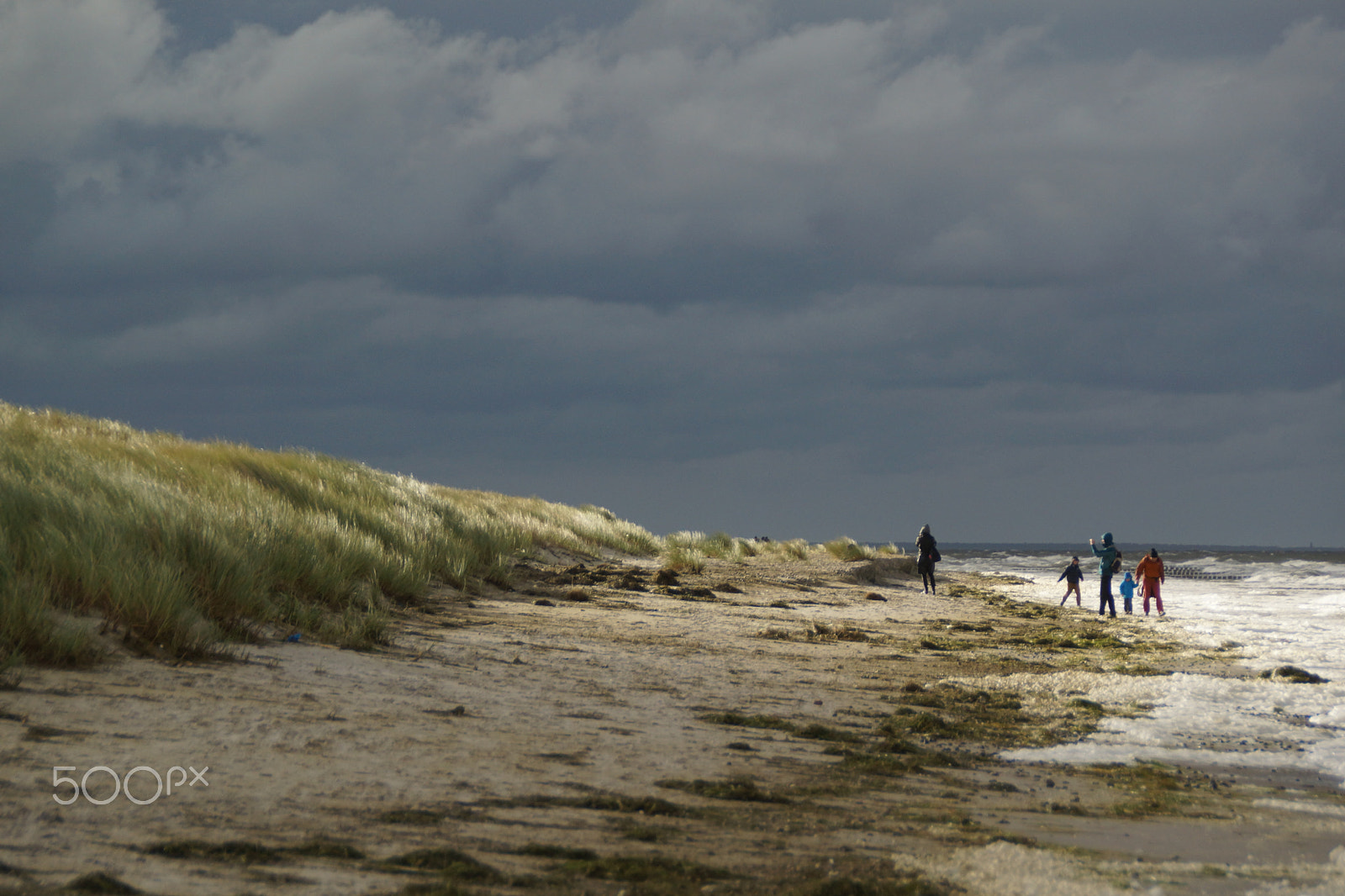 Sony SLT-A65 (SLT-A65V) sample photo. Fischland darss v photography