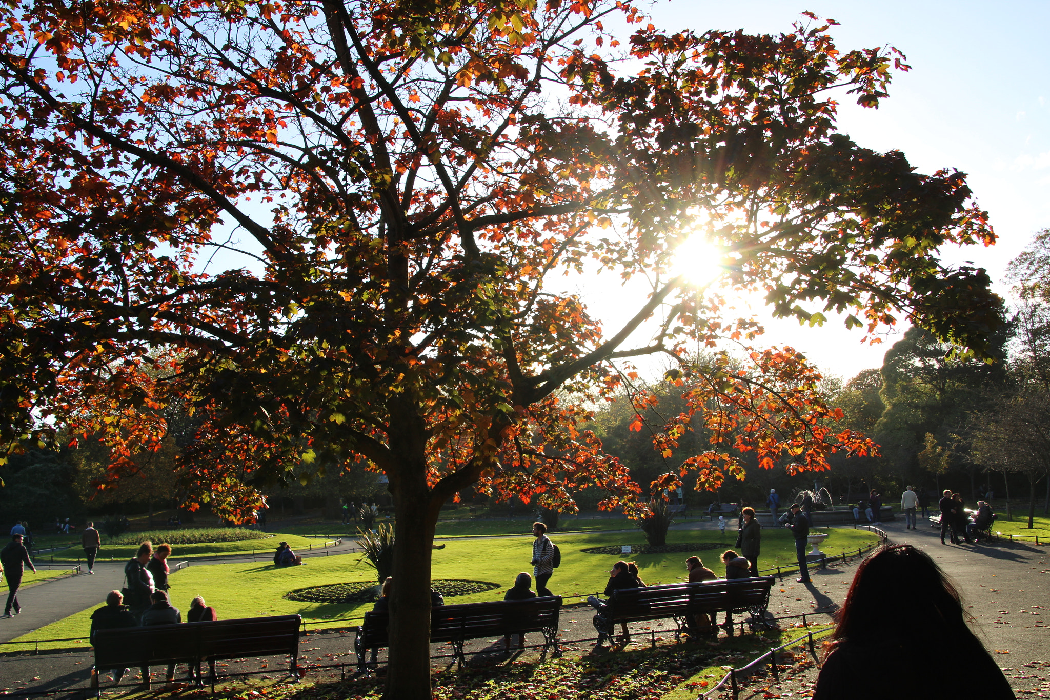 Canon TS-E 90mm F2.8 Tilt-Shift sample photo. Saint stephen`s green photography