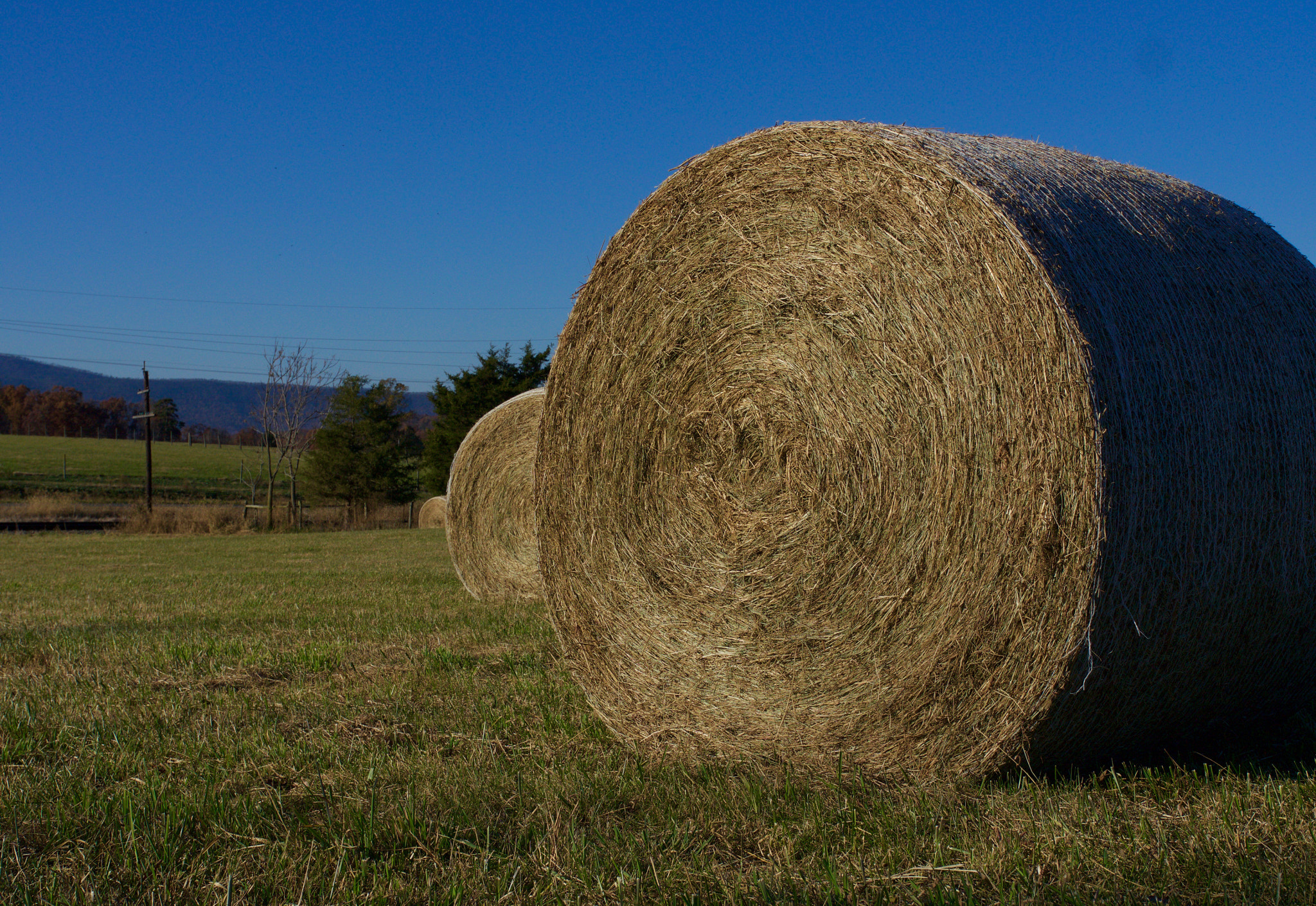 Panasonic Lumix DMC-GH4 + .7x Metabones 18-35/1.8 sample photo. Hay in a line photography