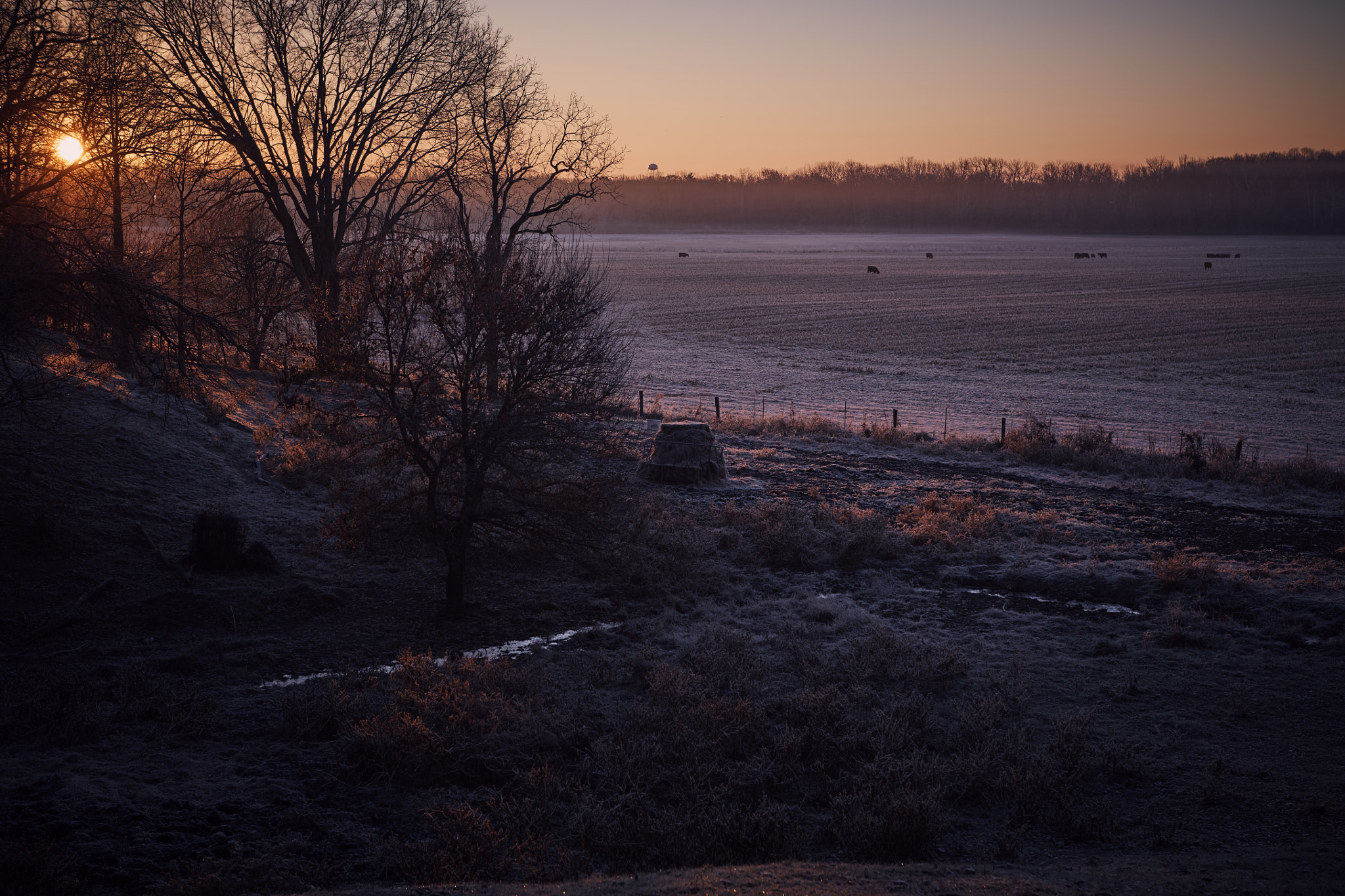 Canon EF 24-70mm F2.8L USM sample photo. Farm sunrise frost photography
