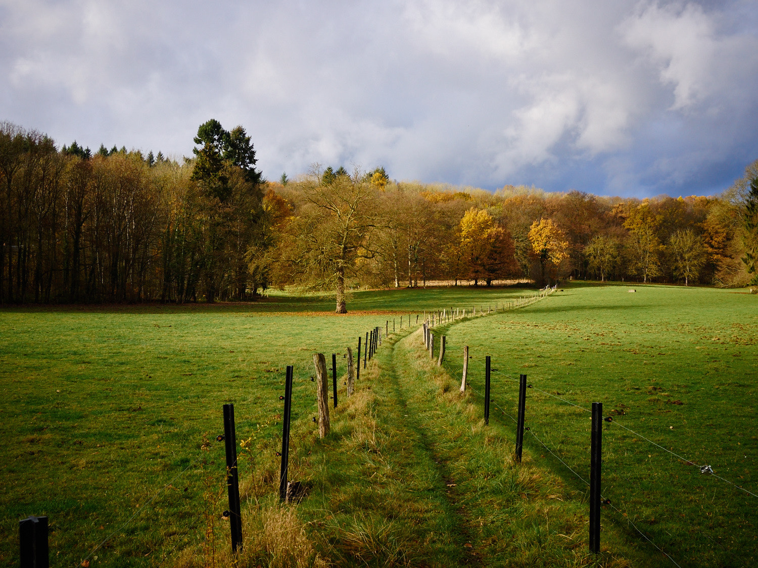 Olympus OM-D E-M5 + LUMIX G 20/F1.7 II sample photo. Sun getting through the clouds during autumn photography