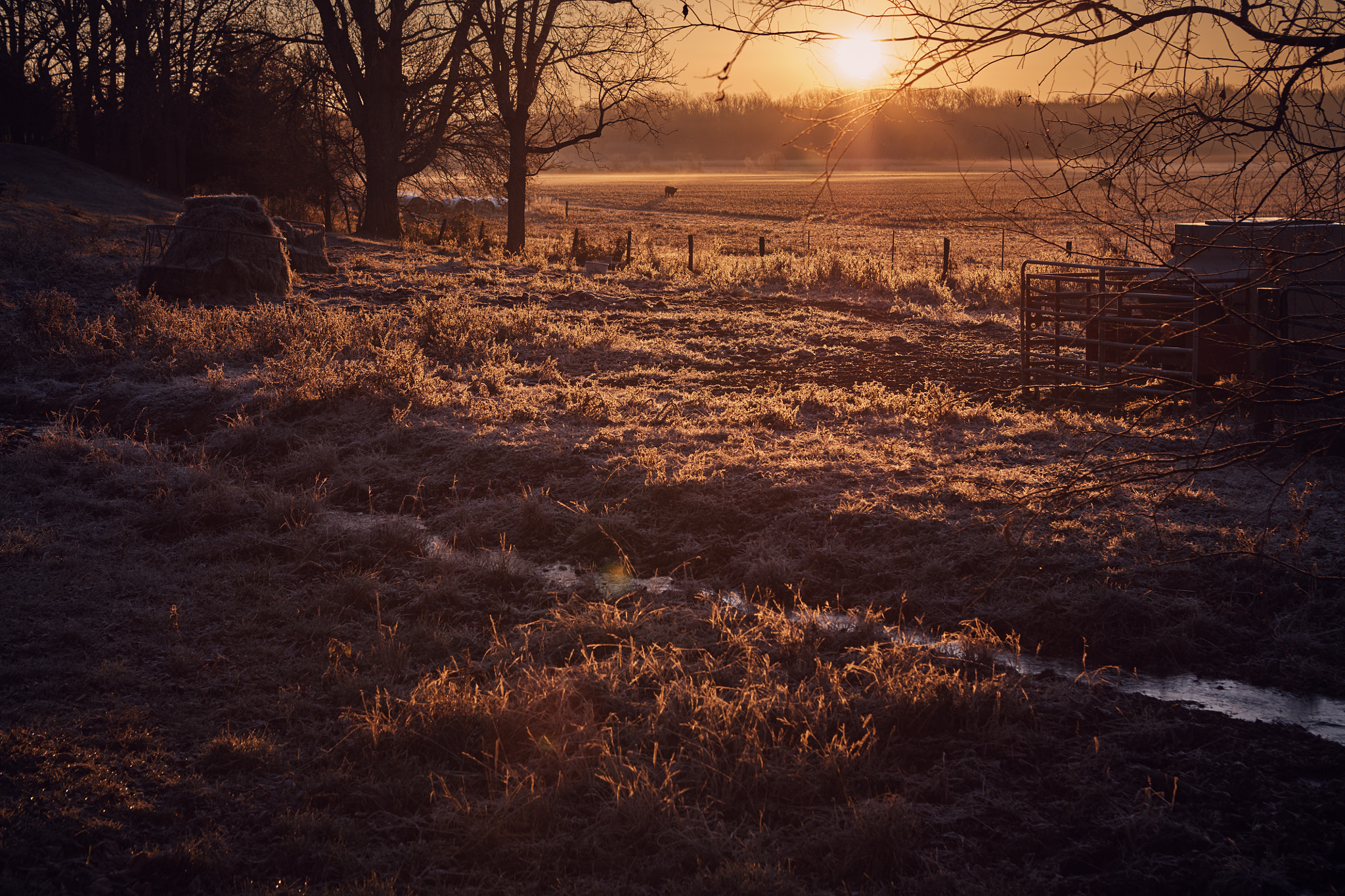 Canon EF 24-70mm F2.8L USM sample photo. Farm sunrise frost photography