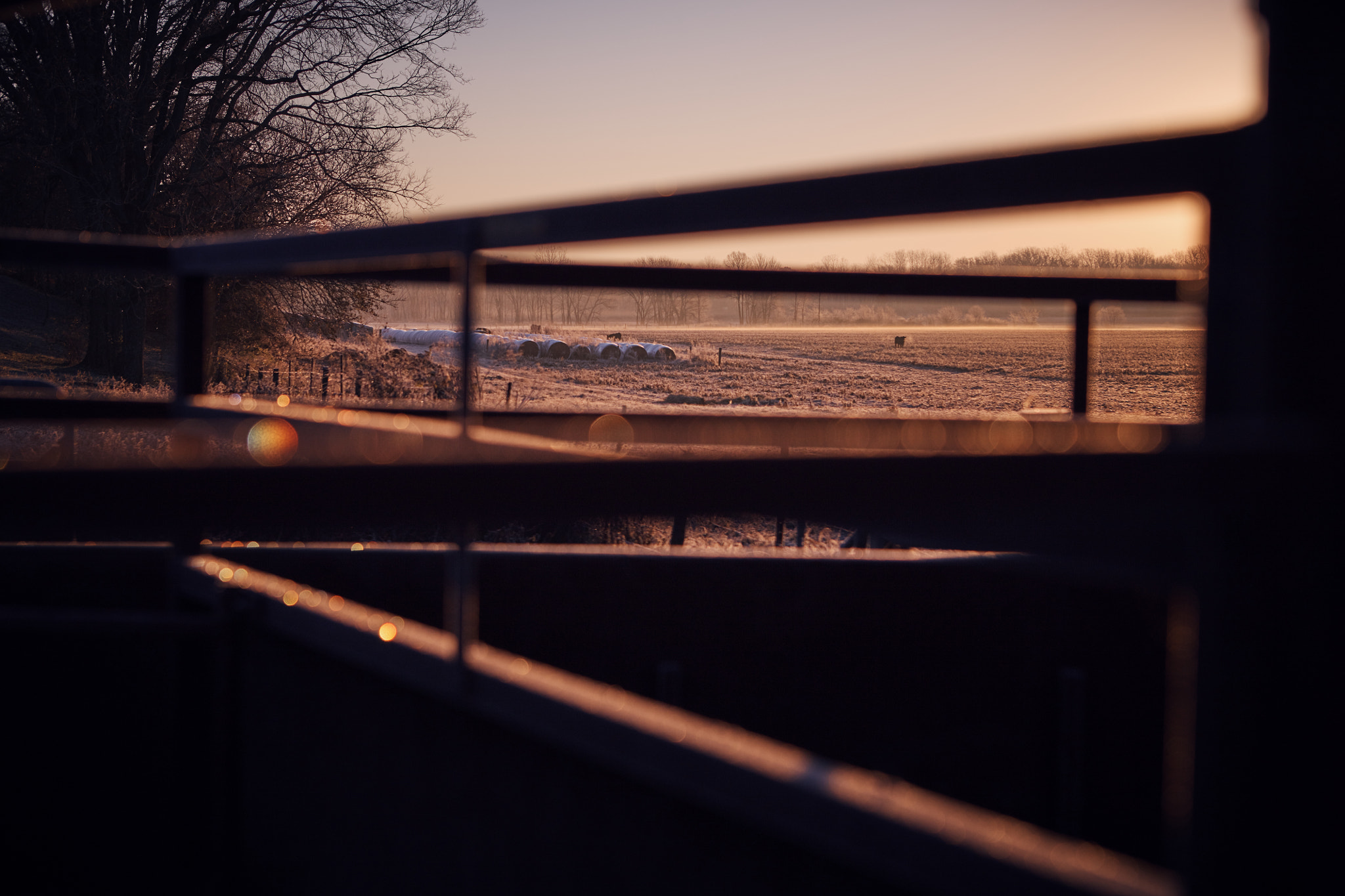 Canon EOS 5DS sample photo. Farm sunrise frost photography