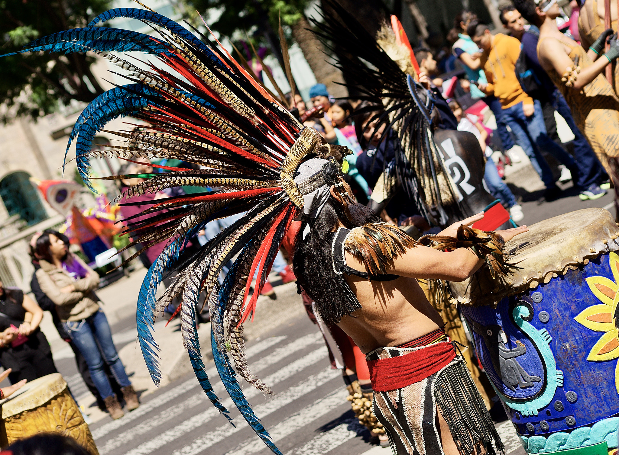 Sony a99 II + Sigma 70-300mm F4-5.6 DL Macro sample photo. "penacho 2" photography