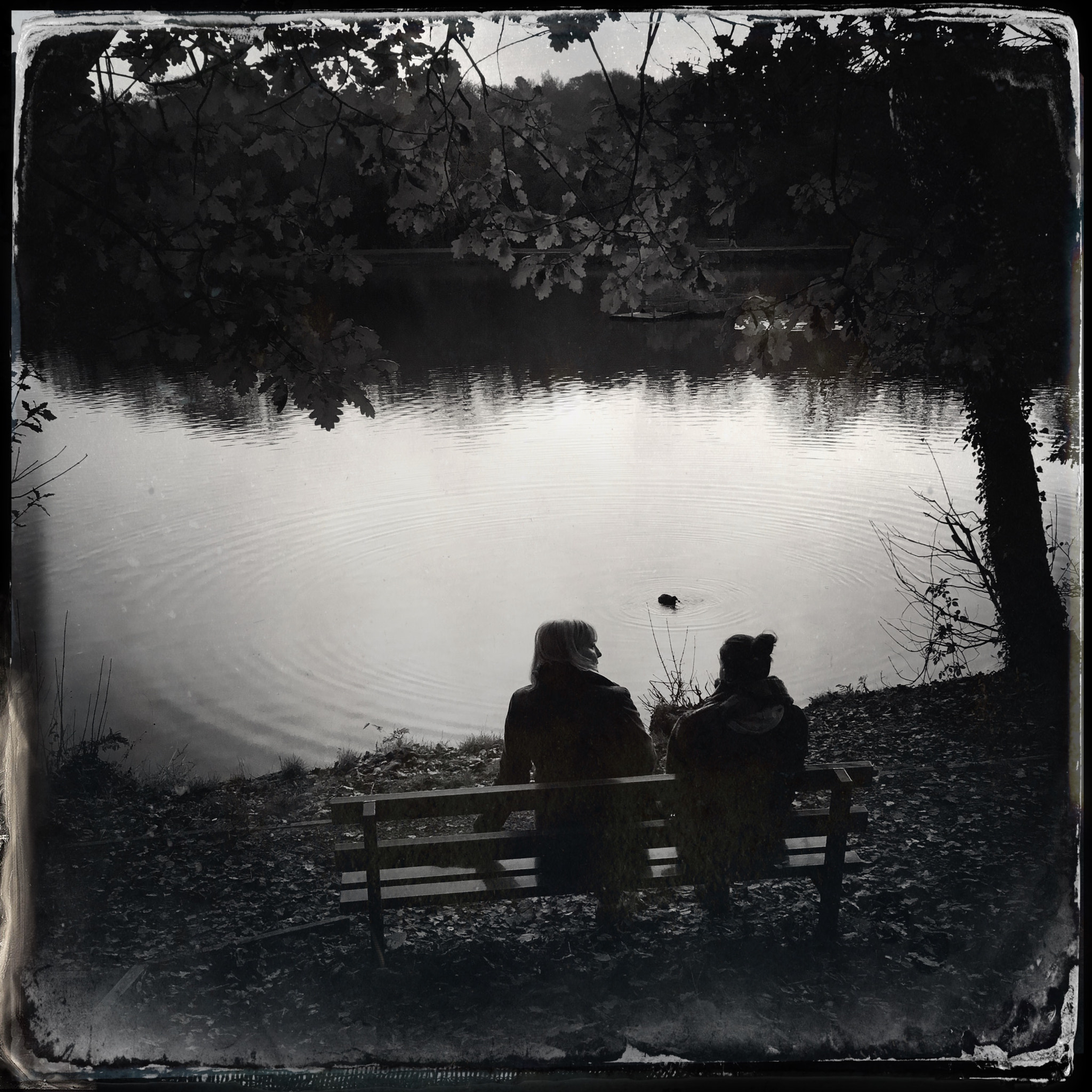 Hipstamatic 322 sample photo