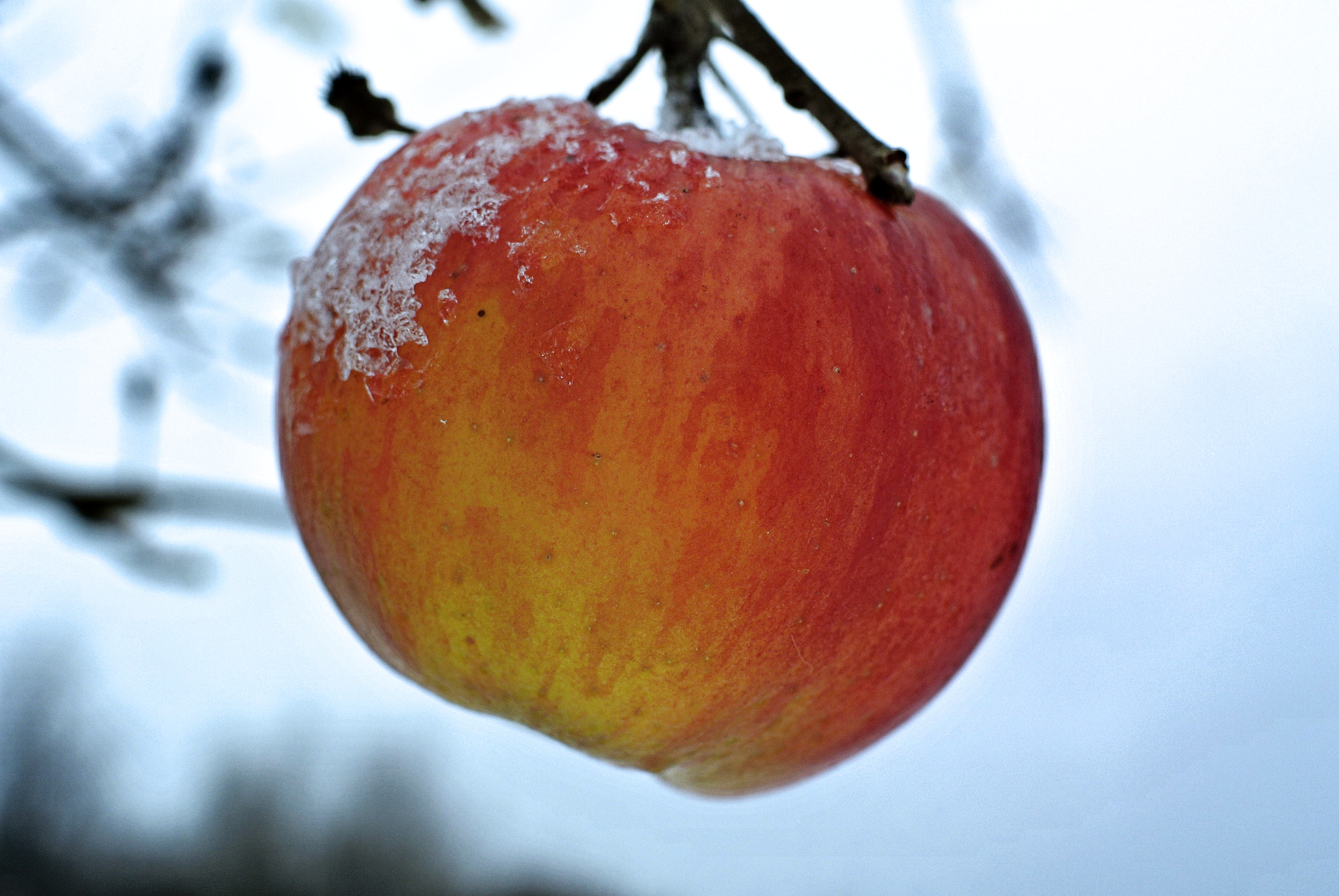 Nikon 1 J1 sample photo. Hanging through the storm photography