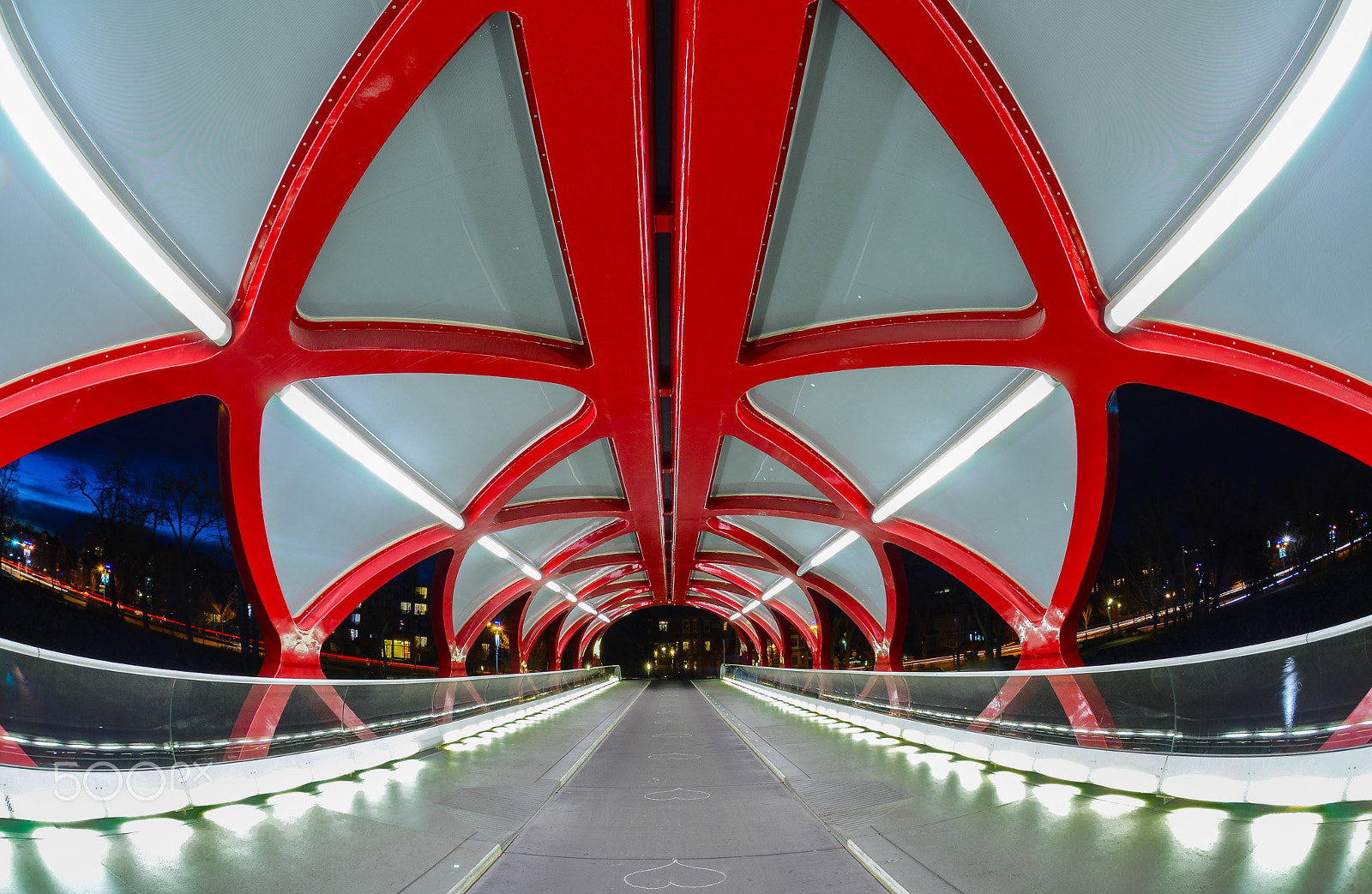 Nikon AF DX Fisheye-Nikkor 10.5mm F2.8G ED sample photo. Peace bridge photography