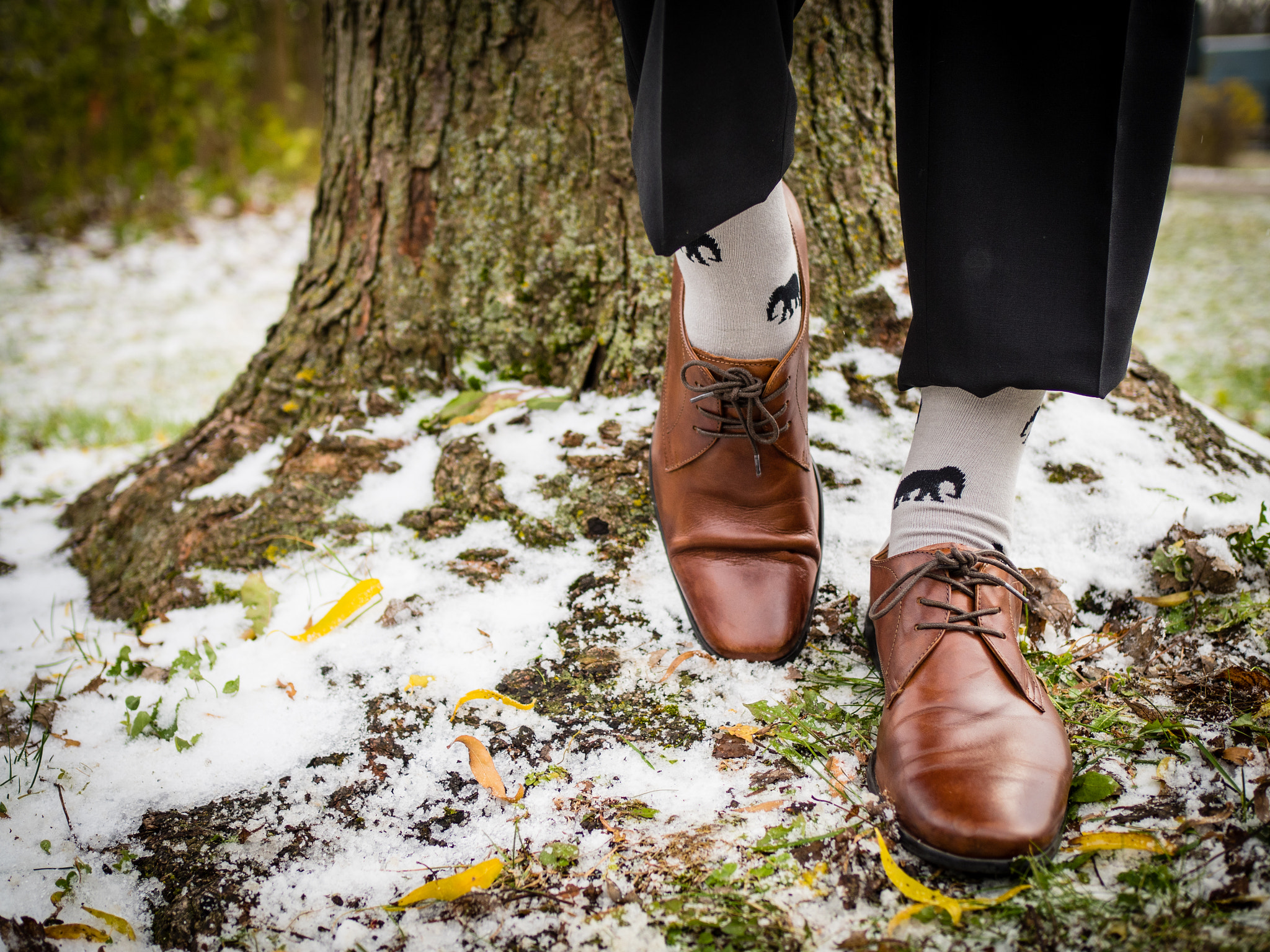 Olympus OM-D E-M5 II + Olympus M.Zuiko Digital 25mm F1.8 sample photo. Greyvine socks photography