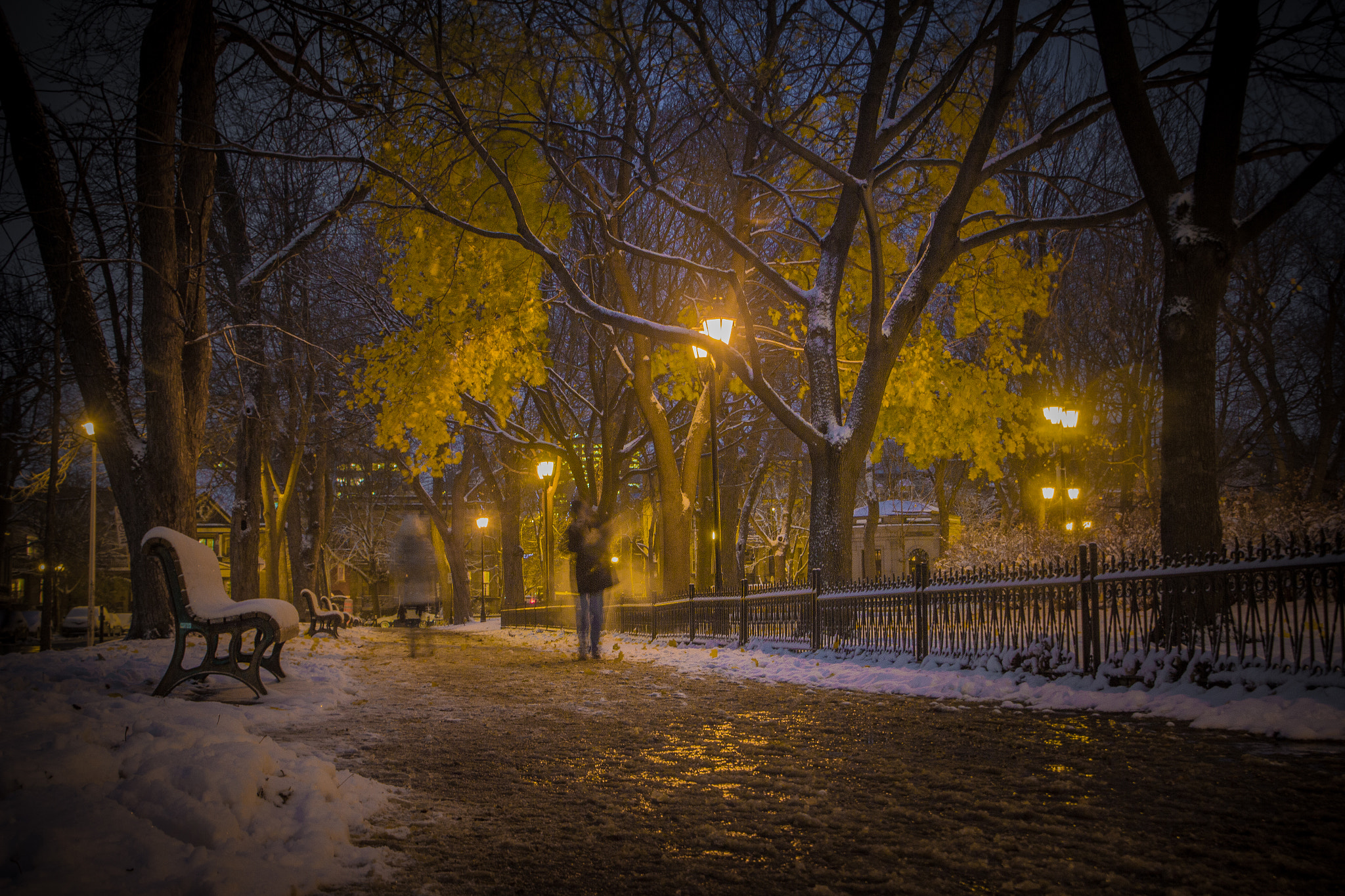 Canon EOS 60D sample photo. First snow on the last leaves. night at sq saint-louis, mont photography