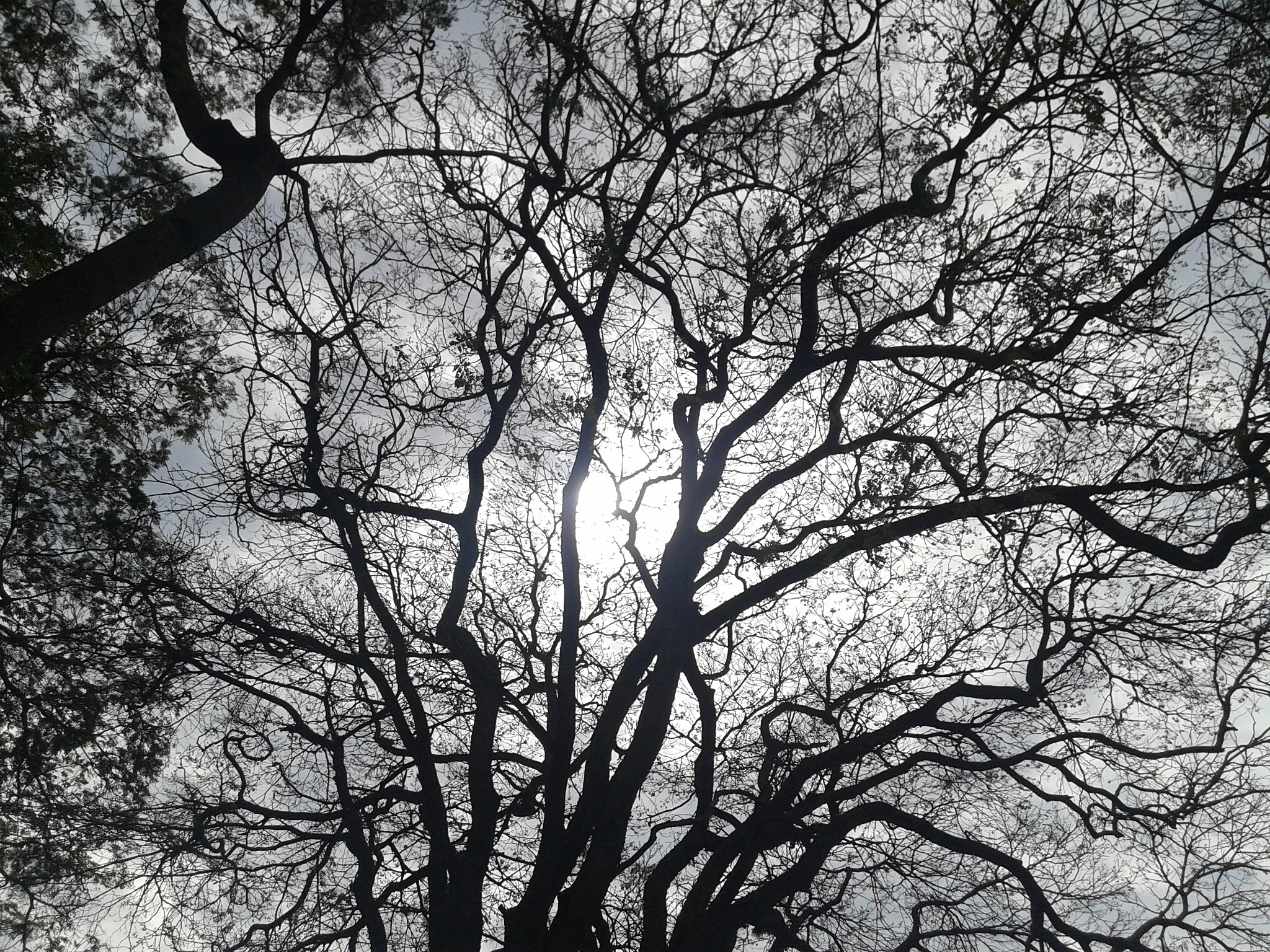 Samsung Galaxy Grand Neo sample photo. Hey sun! come on! photography