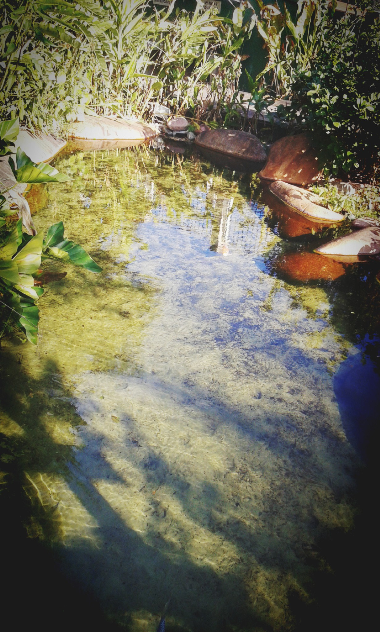 Samsung Galaxy Grand Neo sample photo. Listen to the water. photography