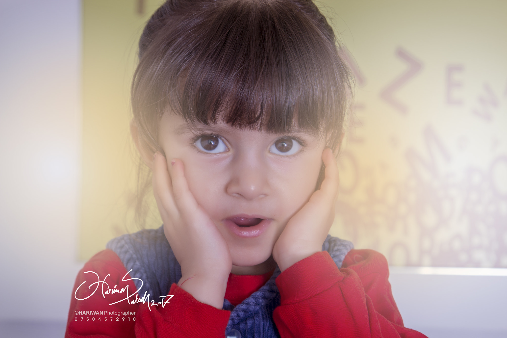 Tamron SP AF 17-50mm F2.8 XR Di II LD Aspherical (IF) sample photo. ©hariwan photographer photography