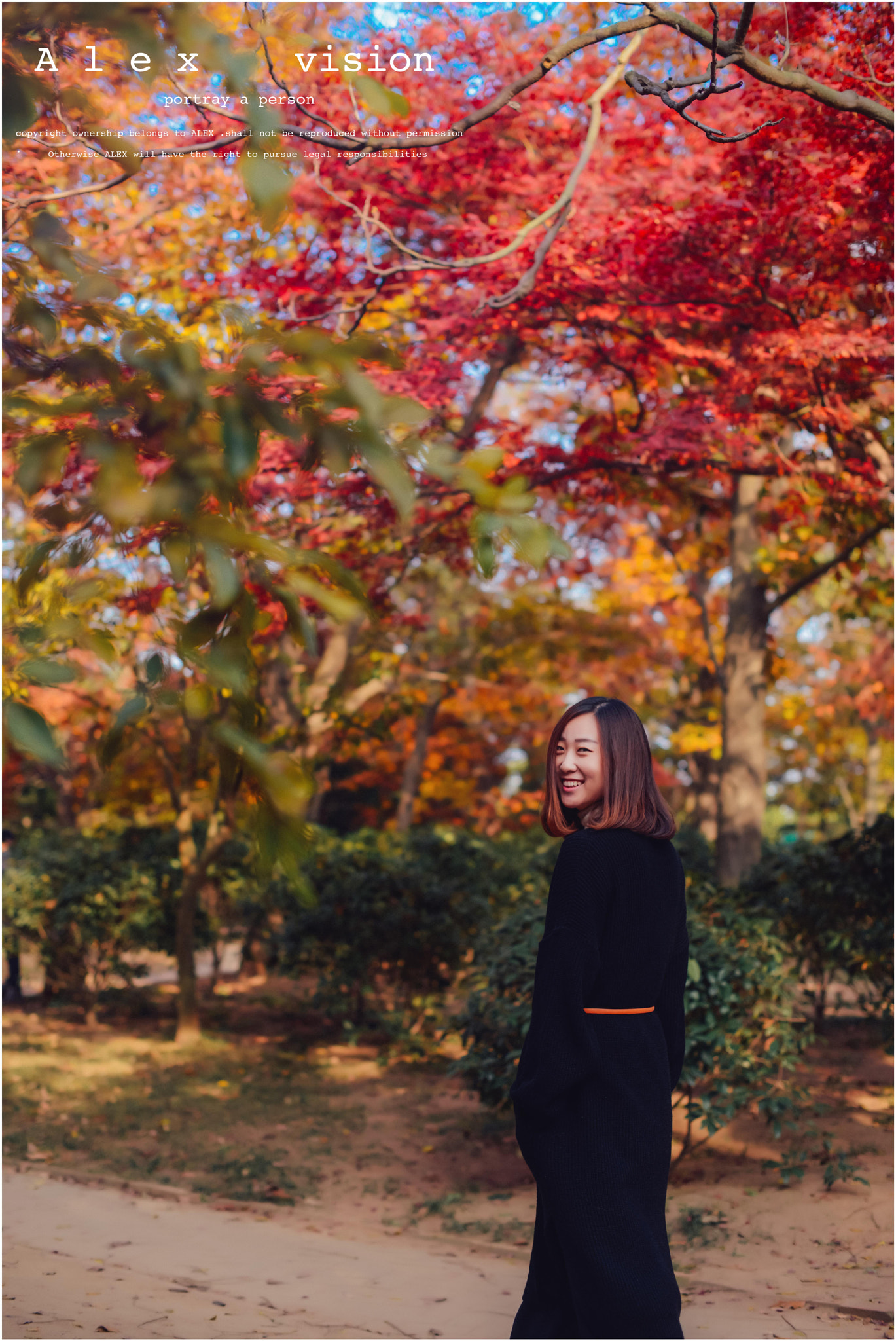 Nikon D800E + Nikon AF-S Nikkor 50mm F1.4G sample photo