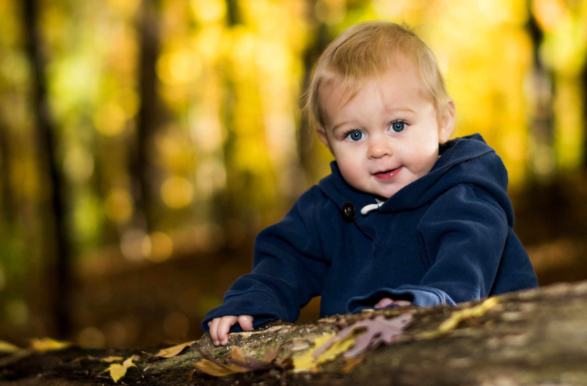 Nikon D810 + Nikon AF-S Nikkor 58mm F1.4G sample photo. Davy photography