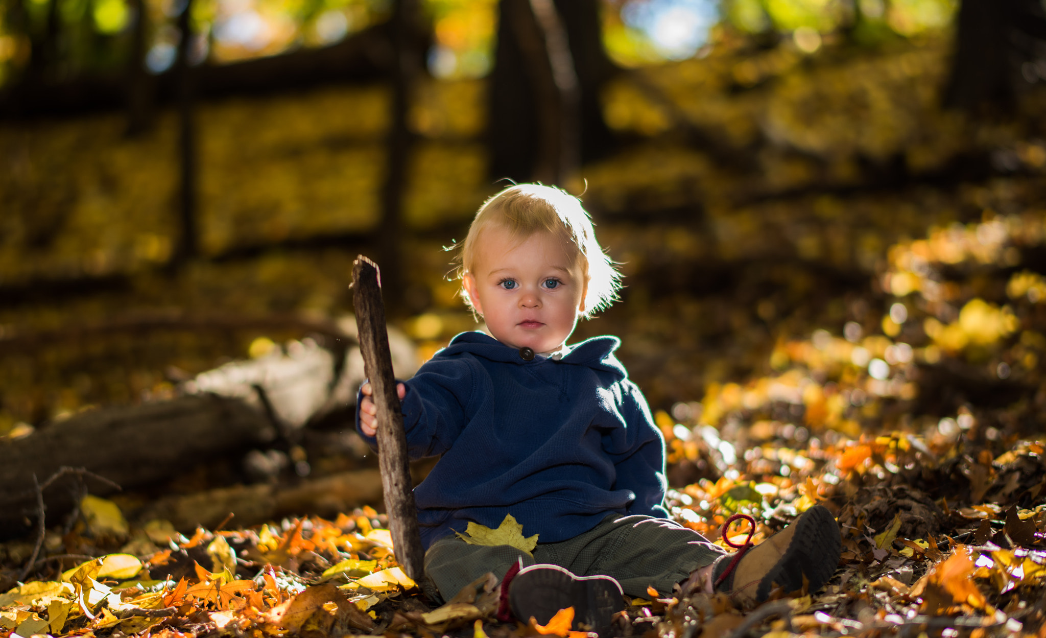Nikon D810 + Nikon AF-S Nikkor 58mm F1.4G sample photo. Davy photography