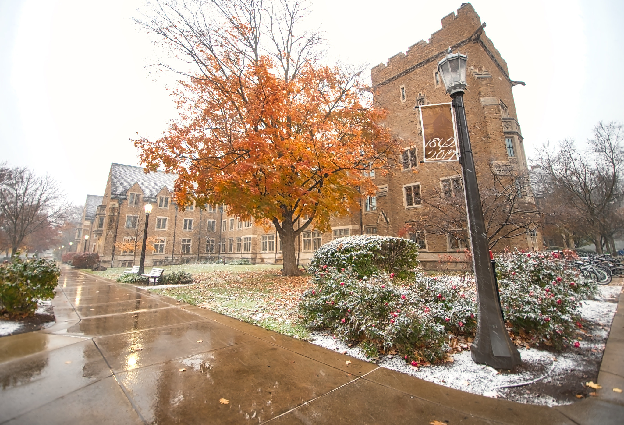 Nikon D600 sample photo. Dorm at notre dame photography